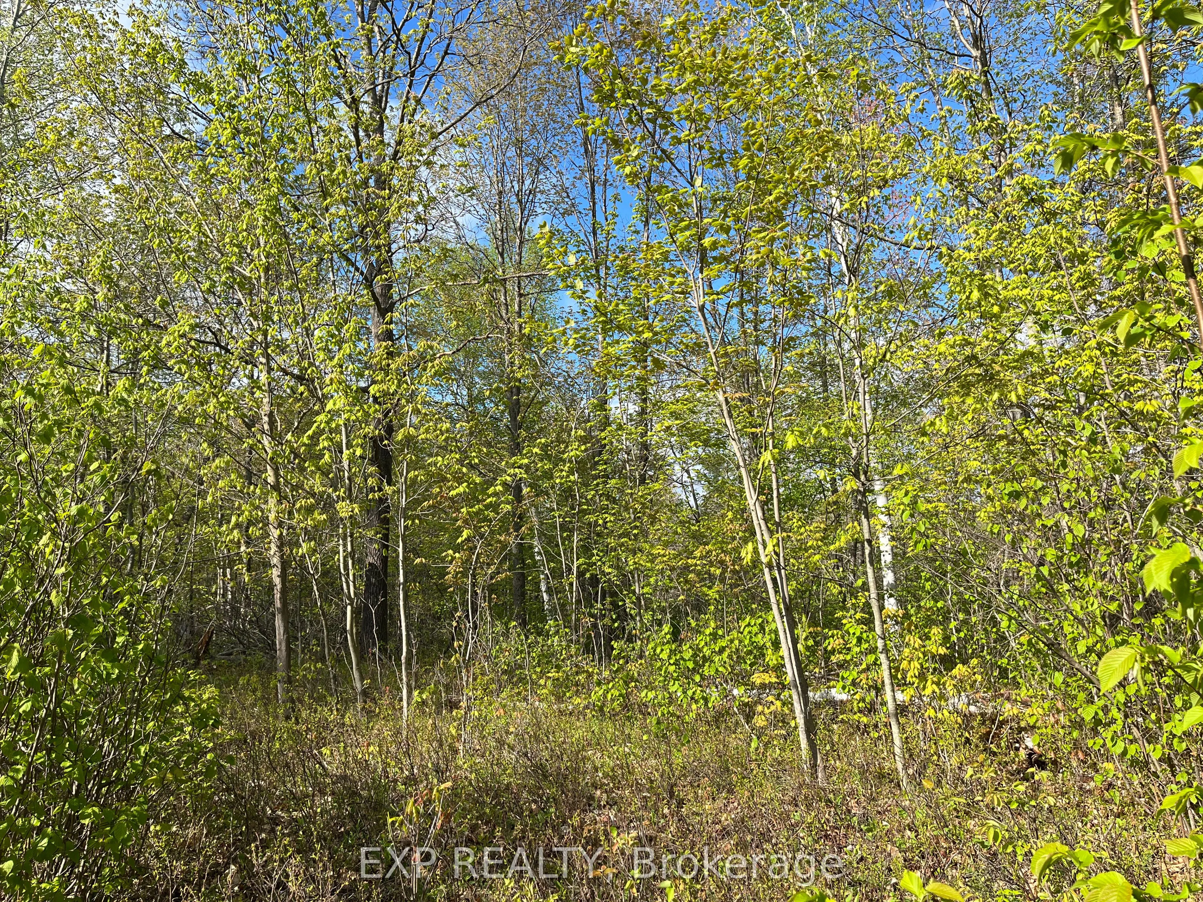 Lot 6 Casson Trail