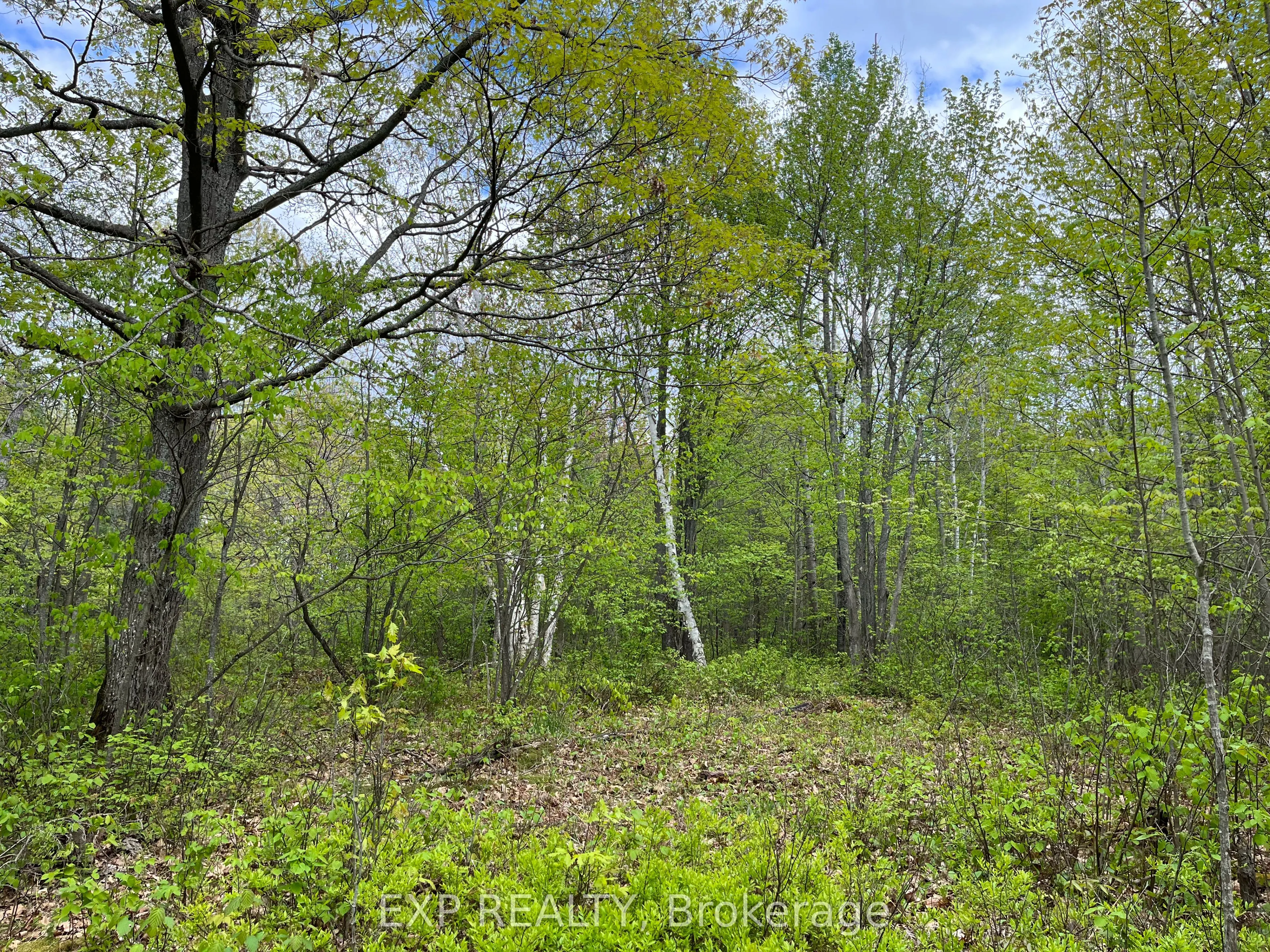 Lot 8 Casson Trail