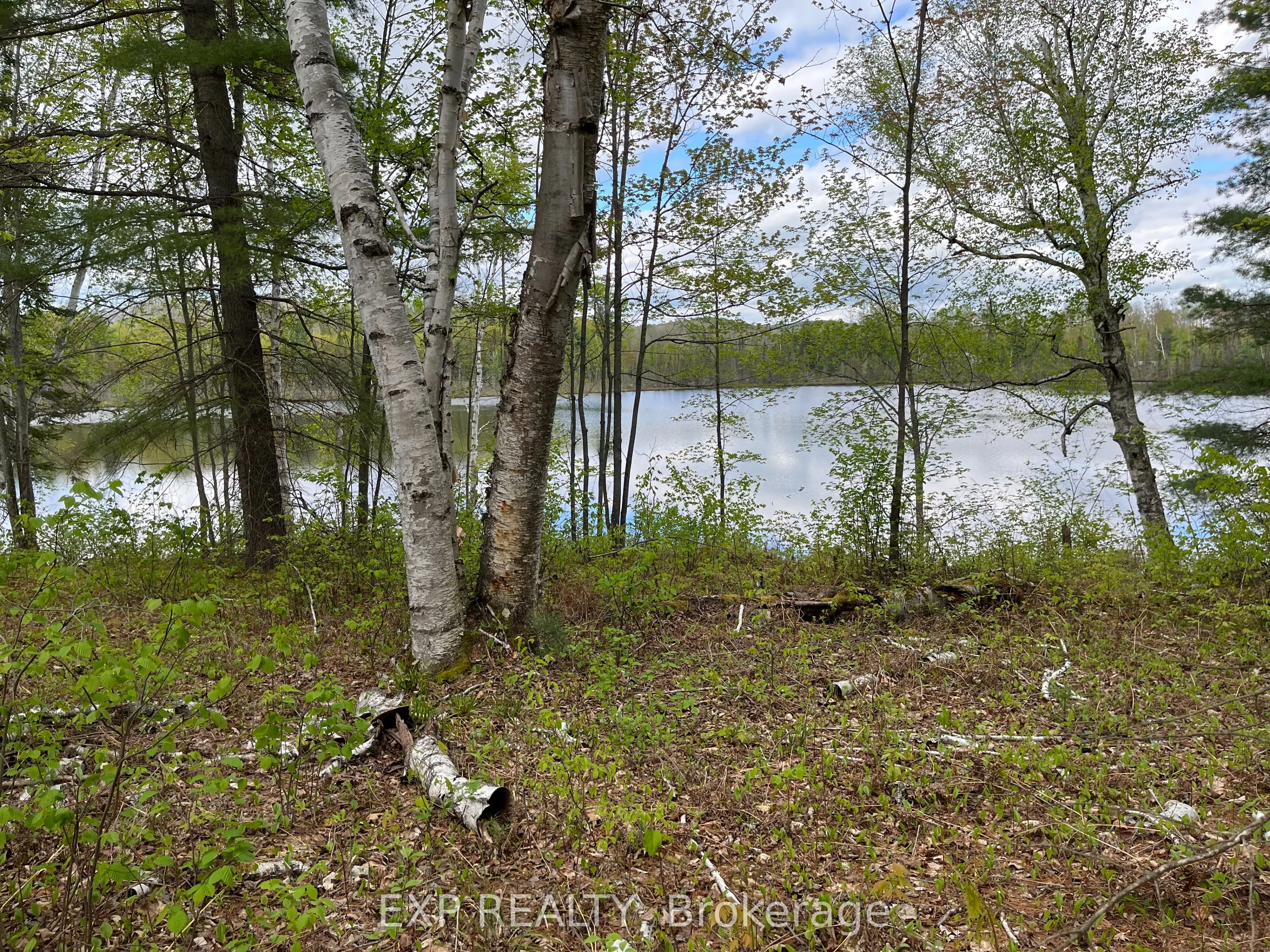Lot 8 Casson Trail
