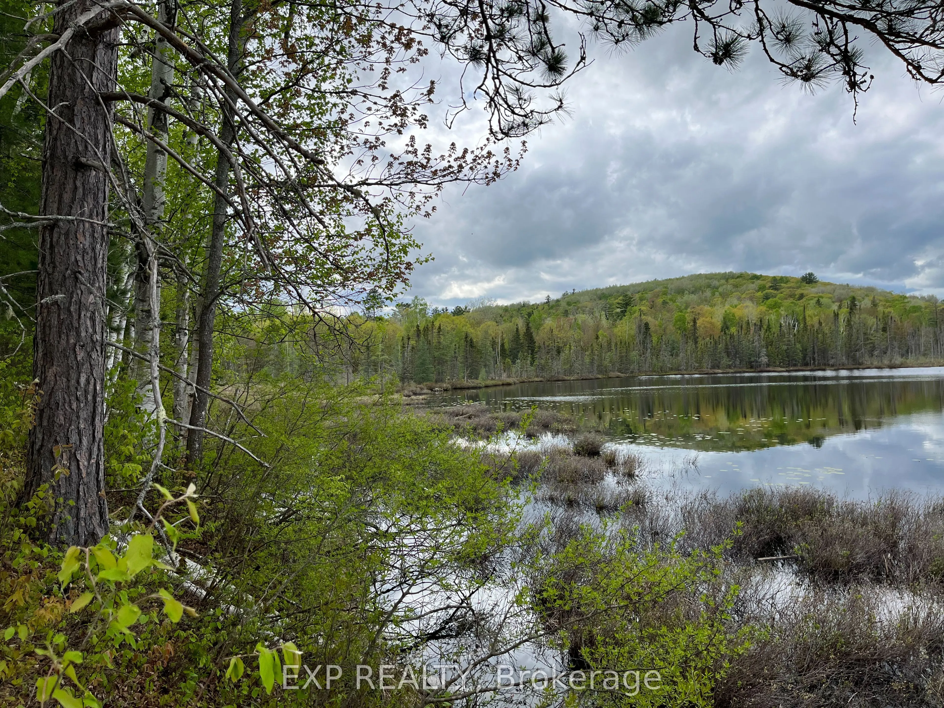 Lot 8 Casson Trail