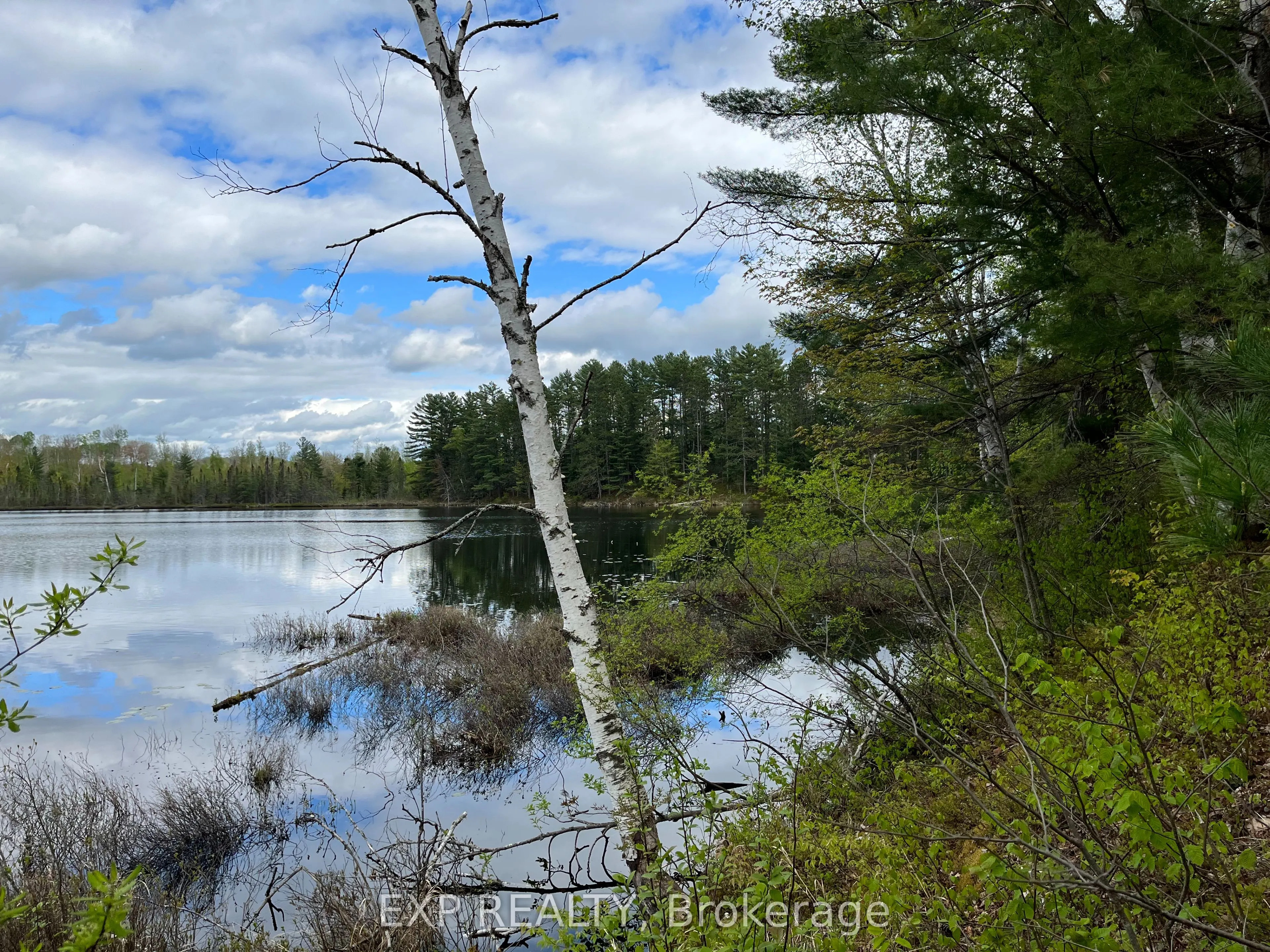Lot 8 Casson Trail