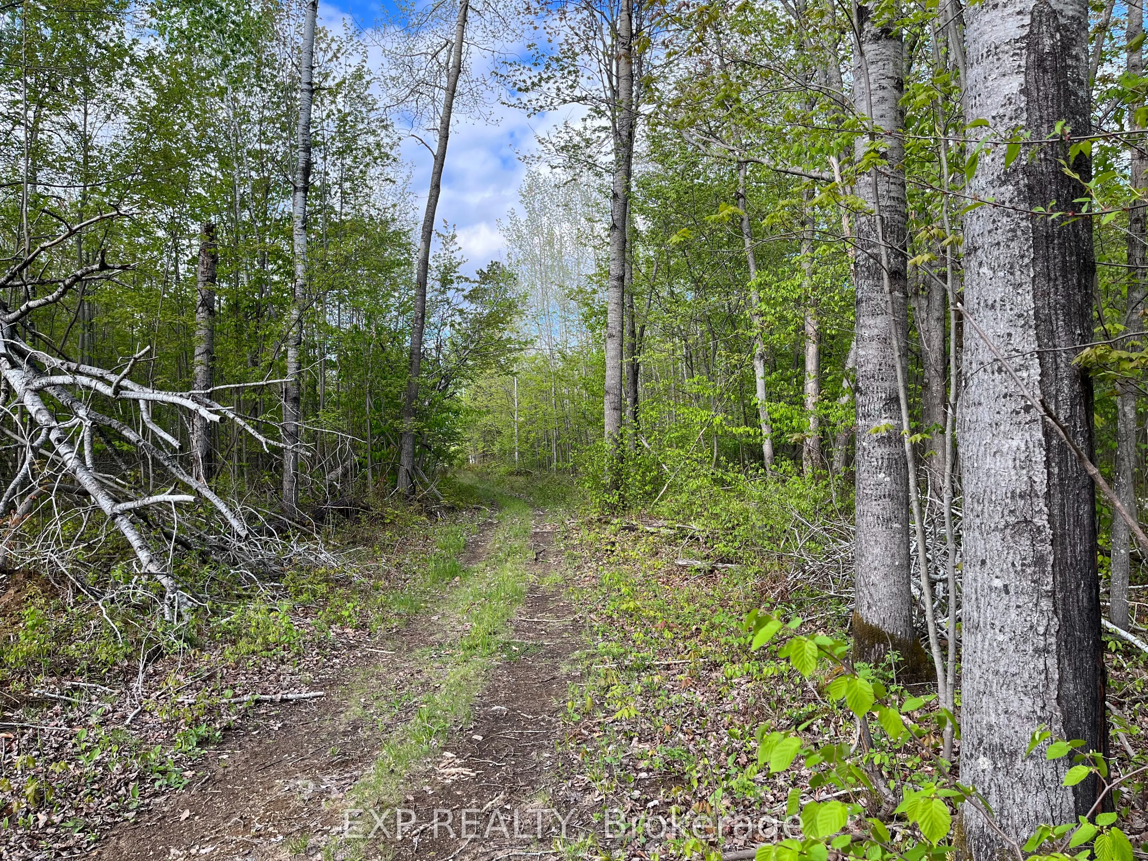 Lot 8 Casson Trail