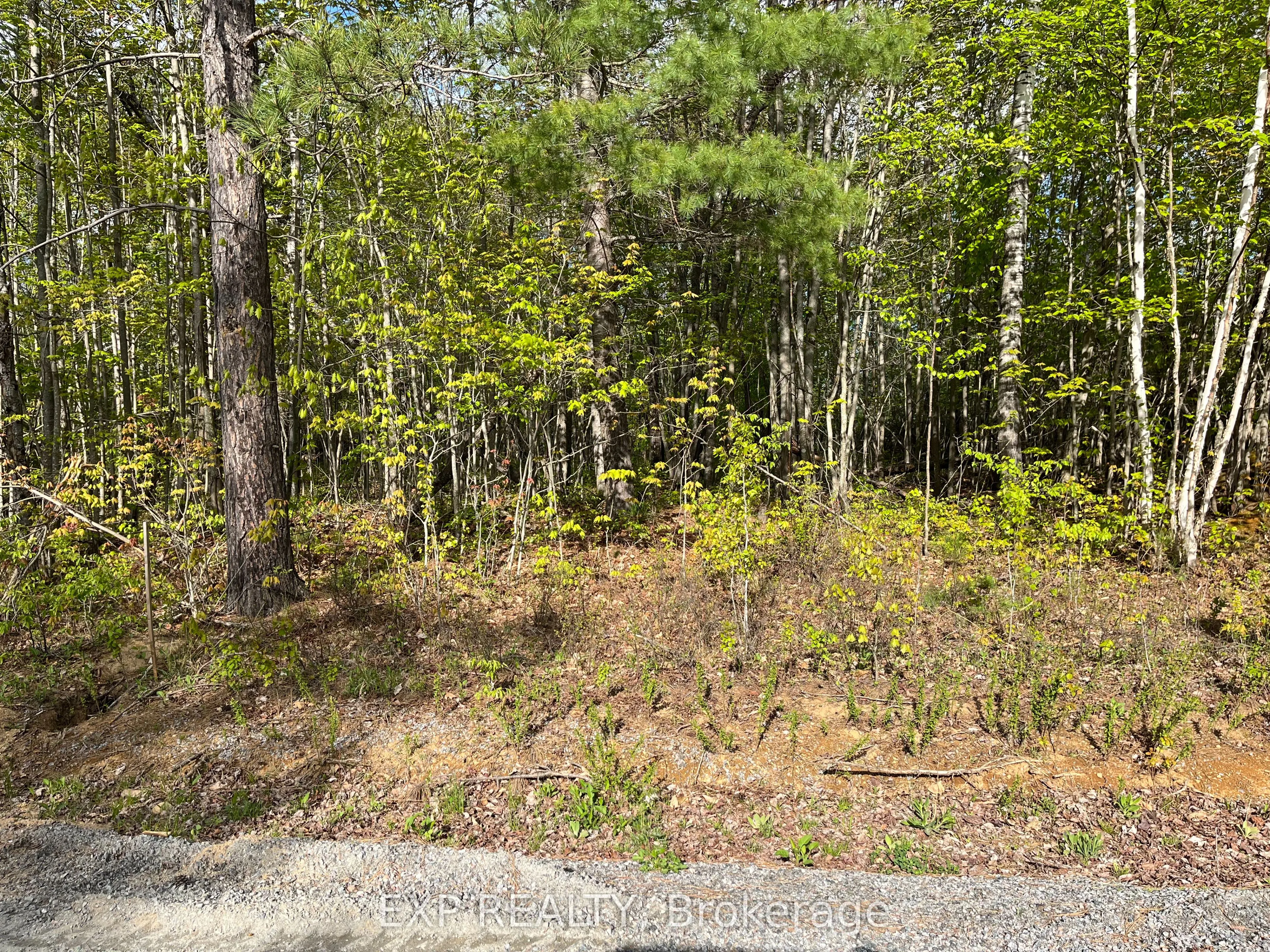 Lot 13 Sandy Shores Trail