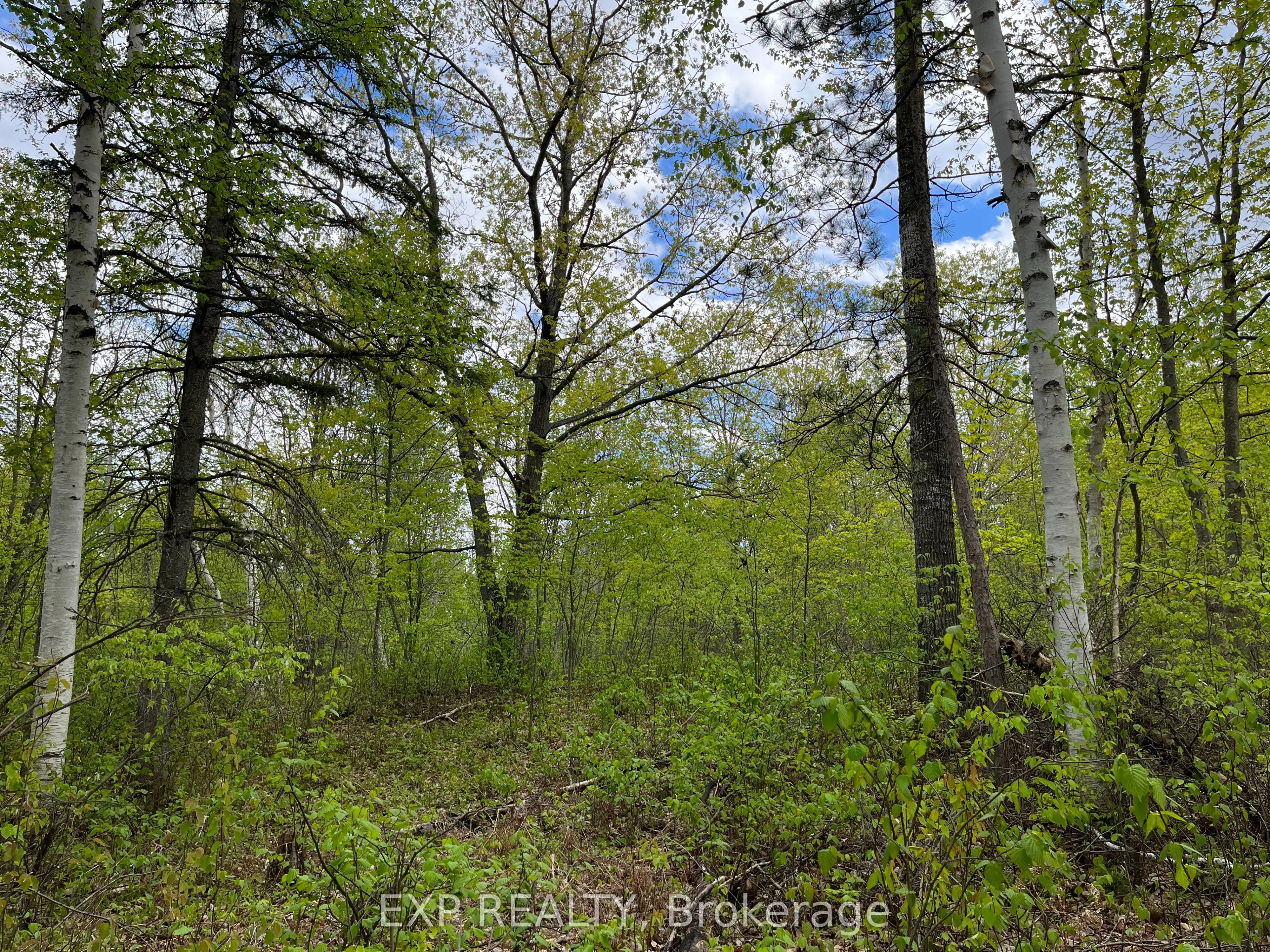 Lot 13 Sandy Shores Trail