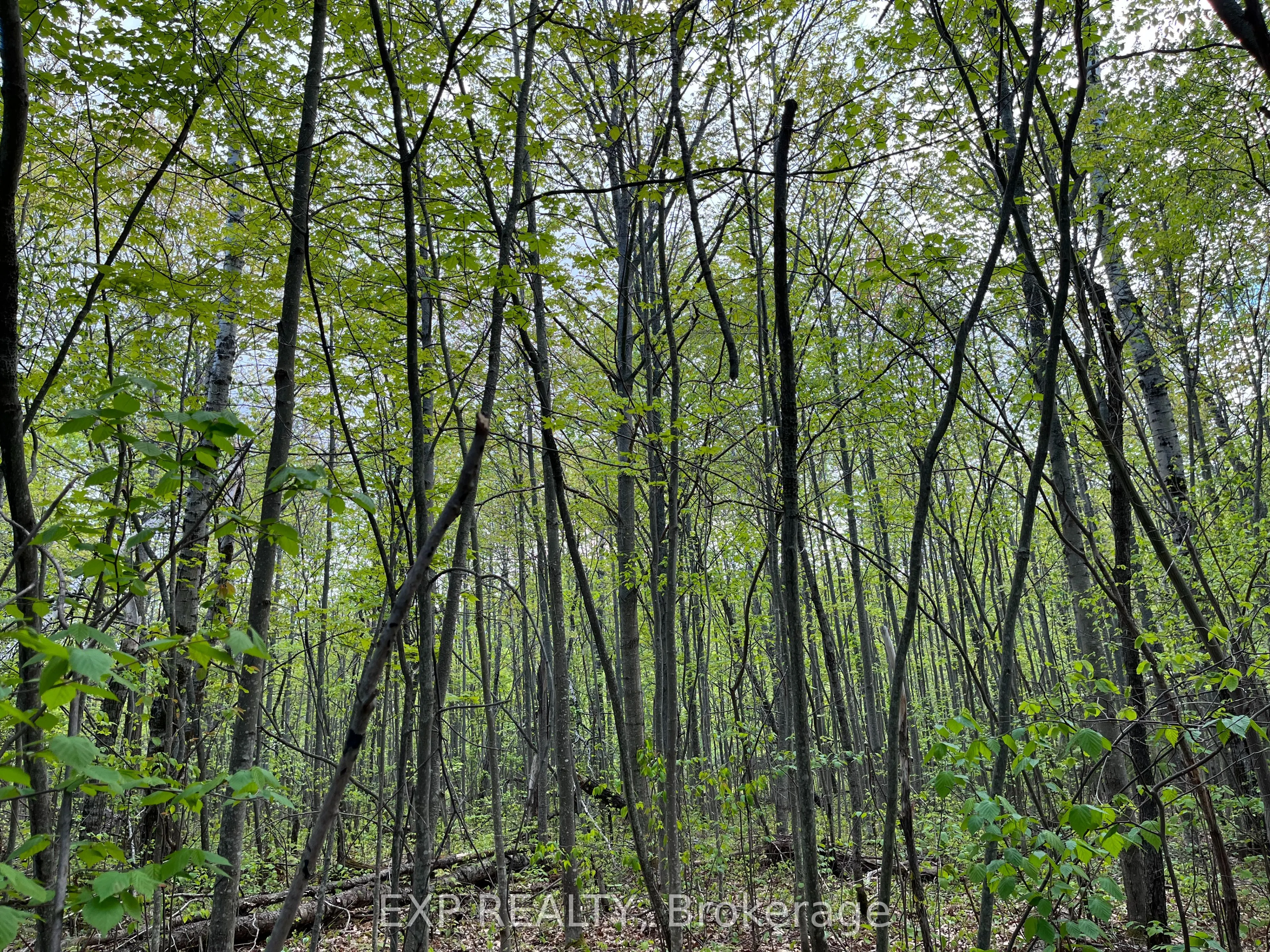 Lot 13 Sandy Shores Trail