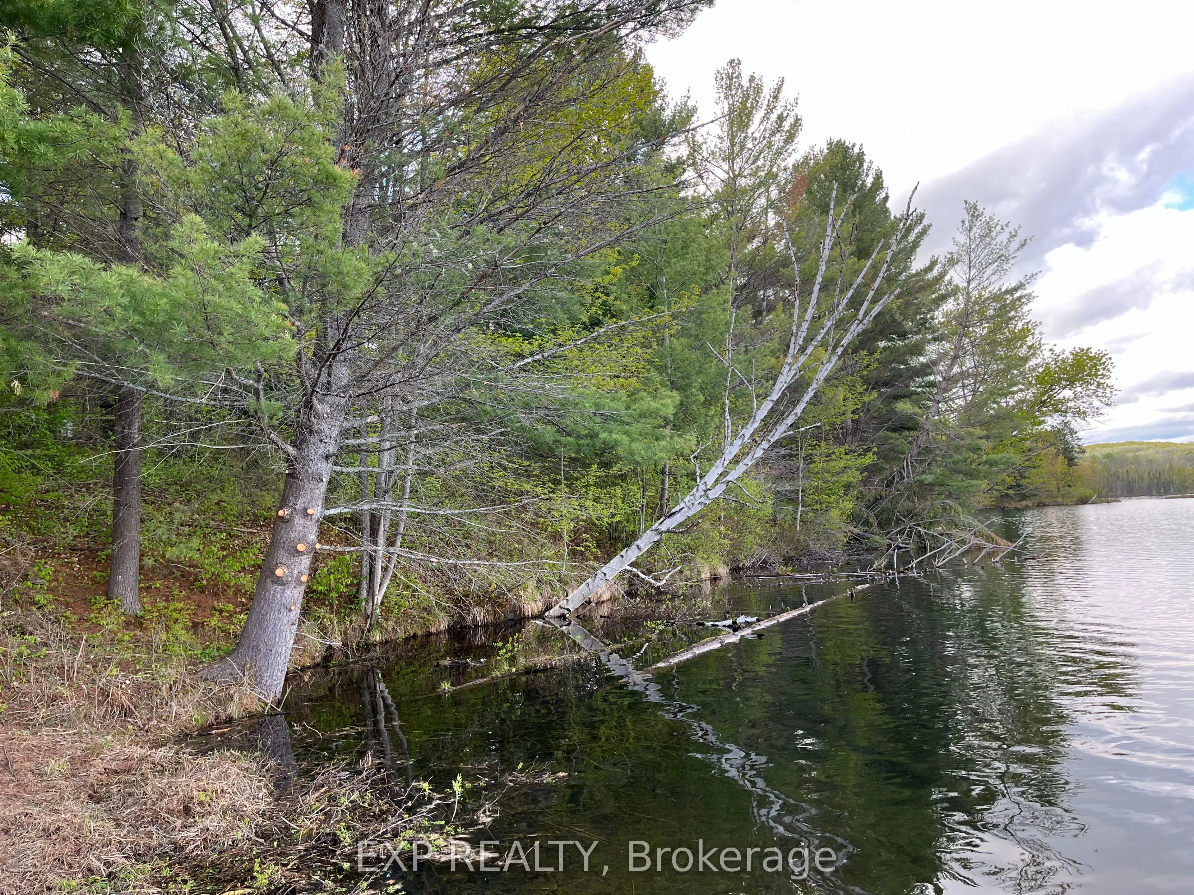 Lot 13 Sandy Shores Trail