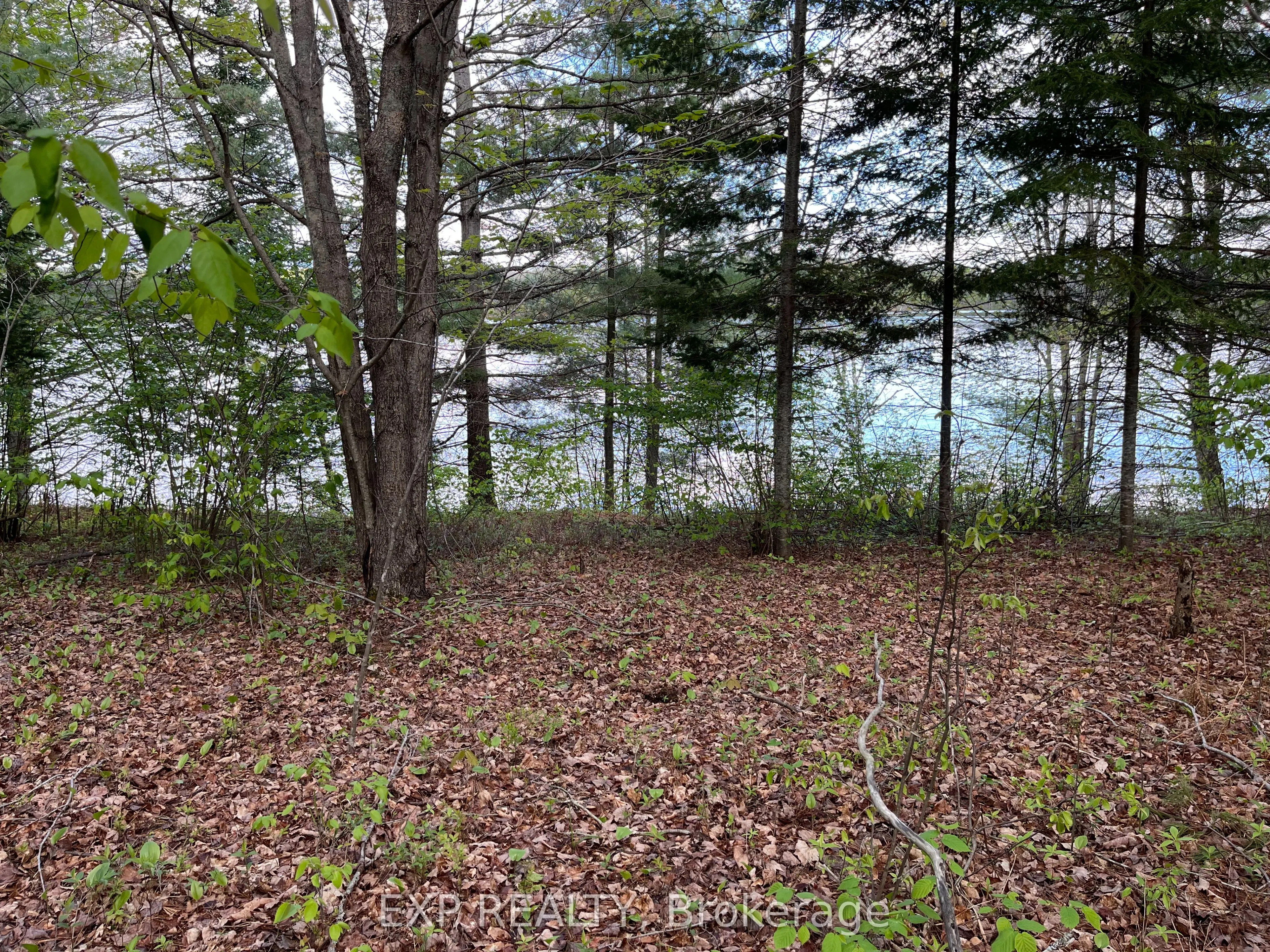 Lot 13 Sandy Shores Trail