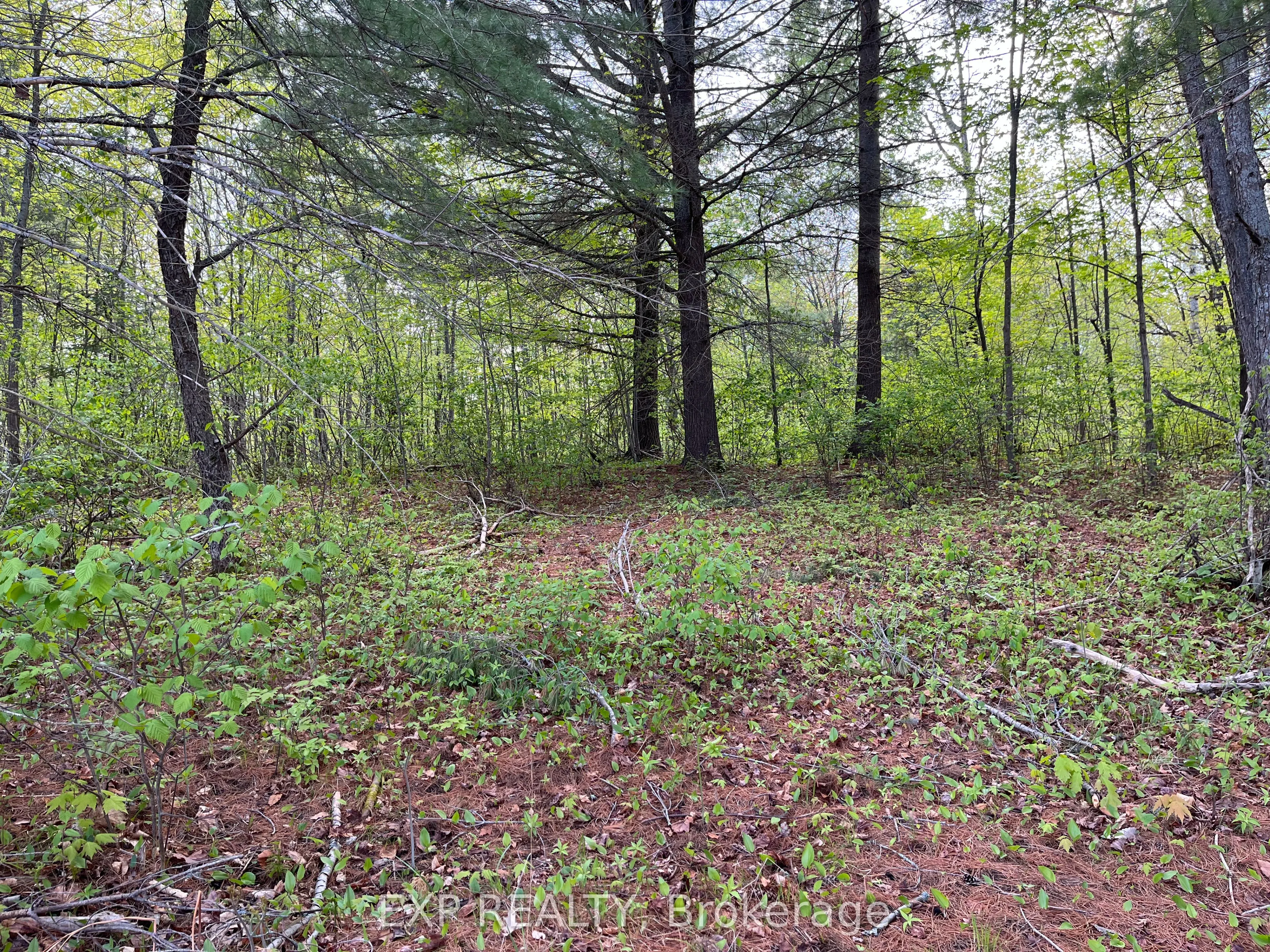 Lot 13 Sandy Shores Trail