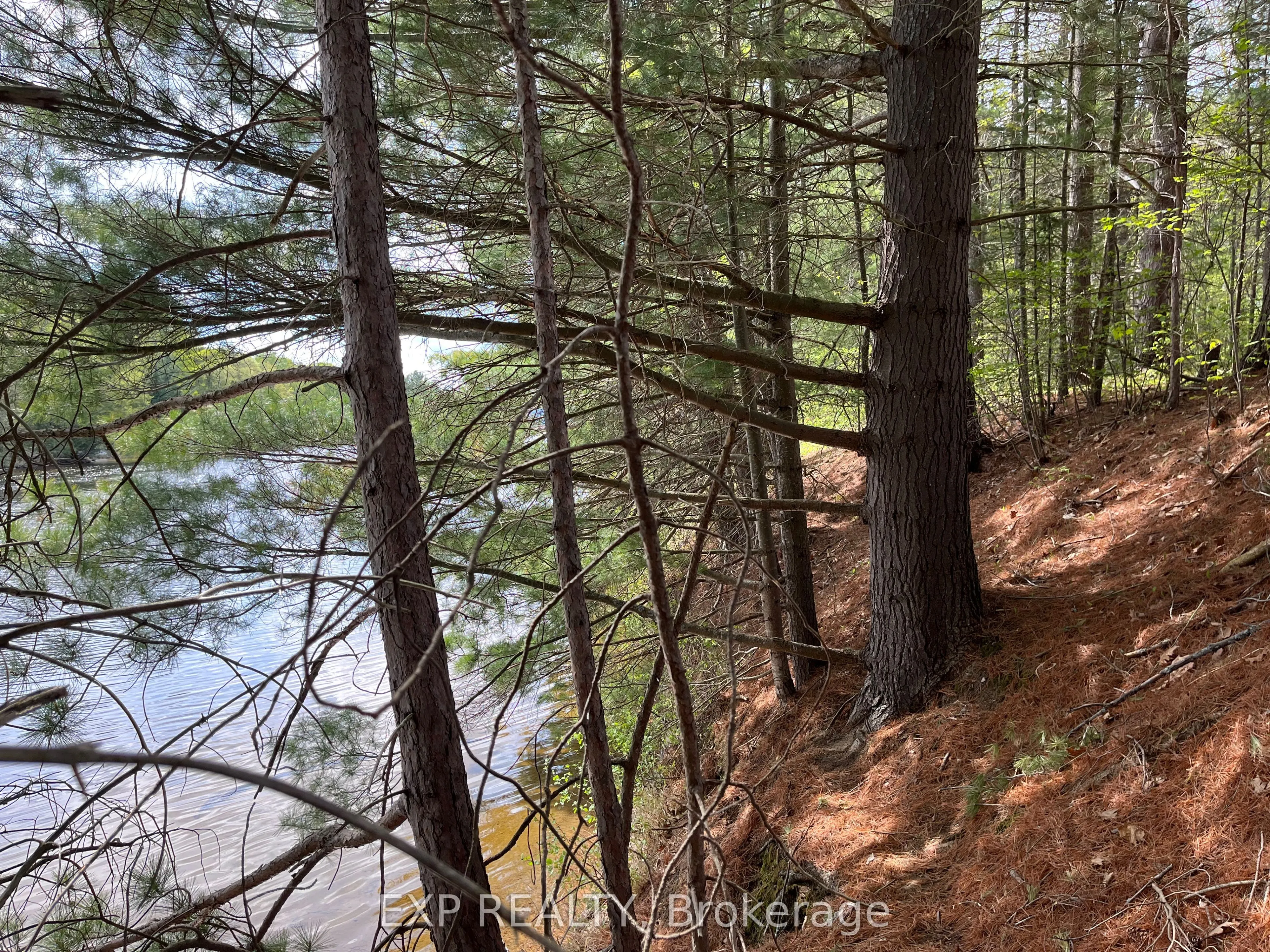 Lot 29 Sandy Shores Trail