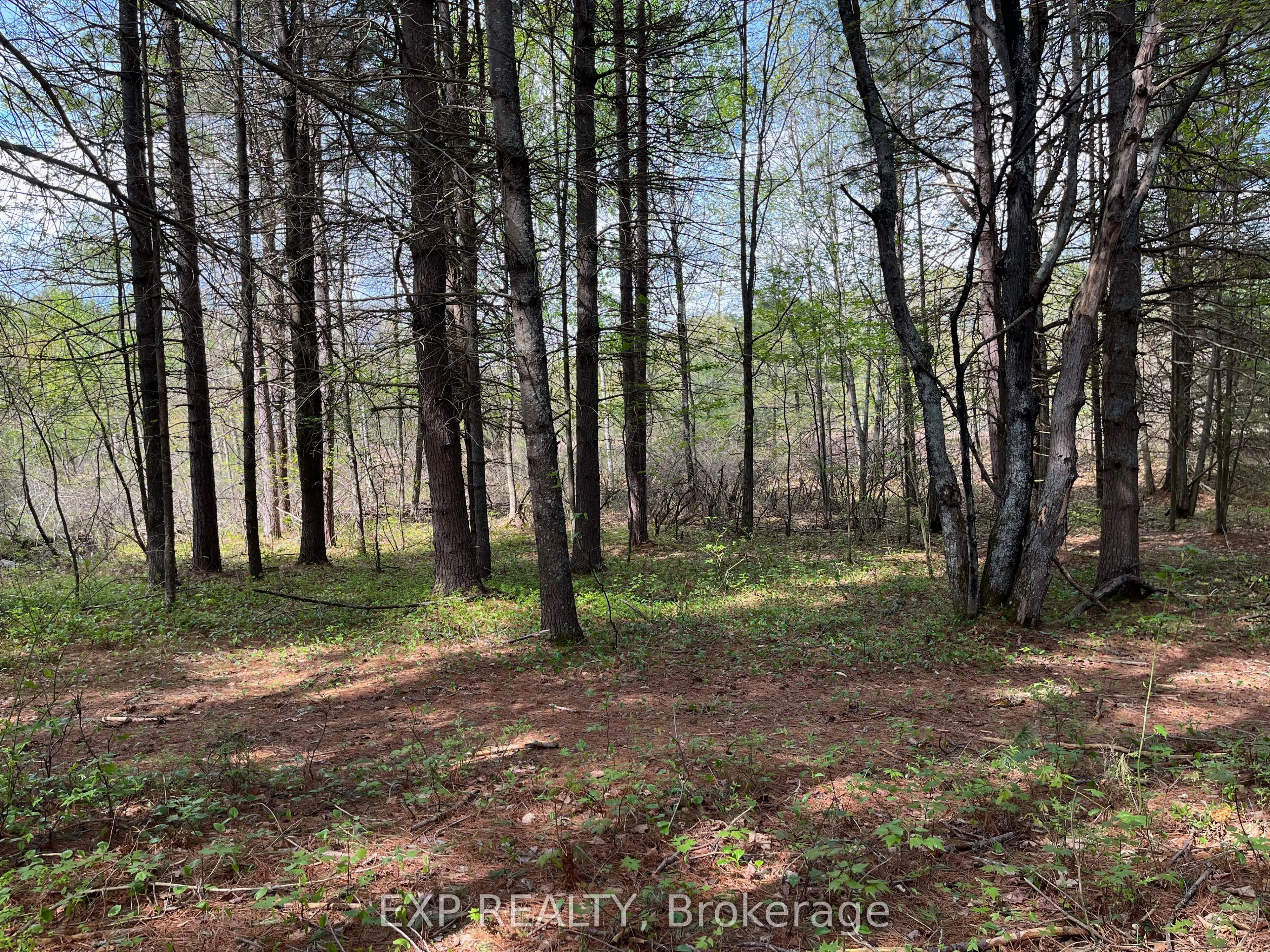 Lot 29 Sandy Shores Trail