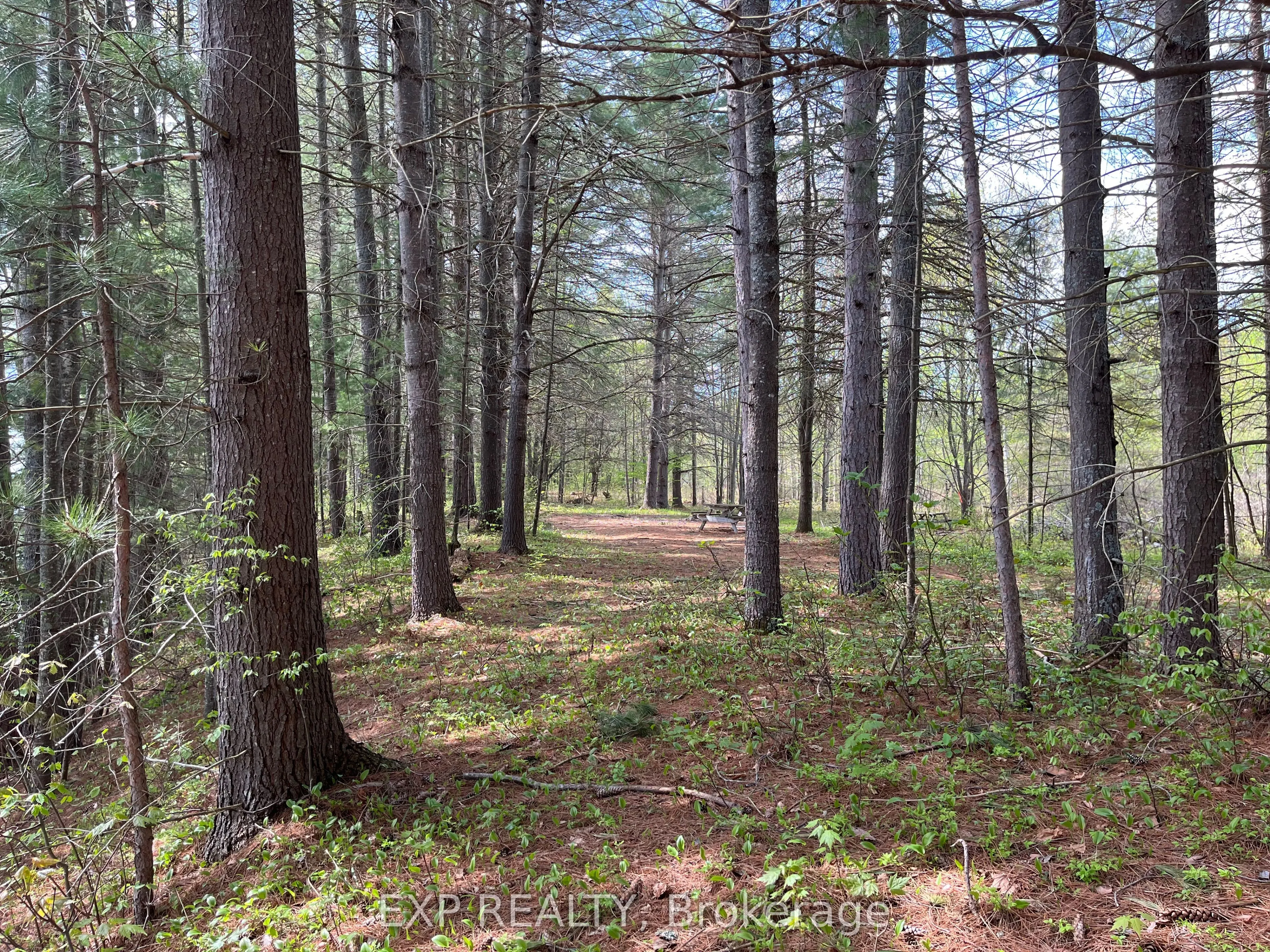 Lot 29 Sandy Shores Trail