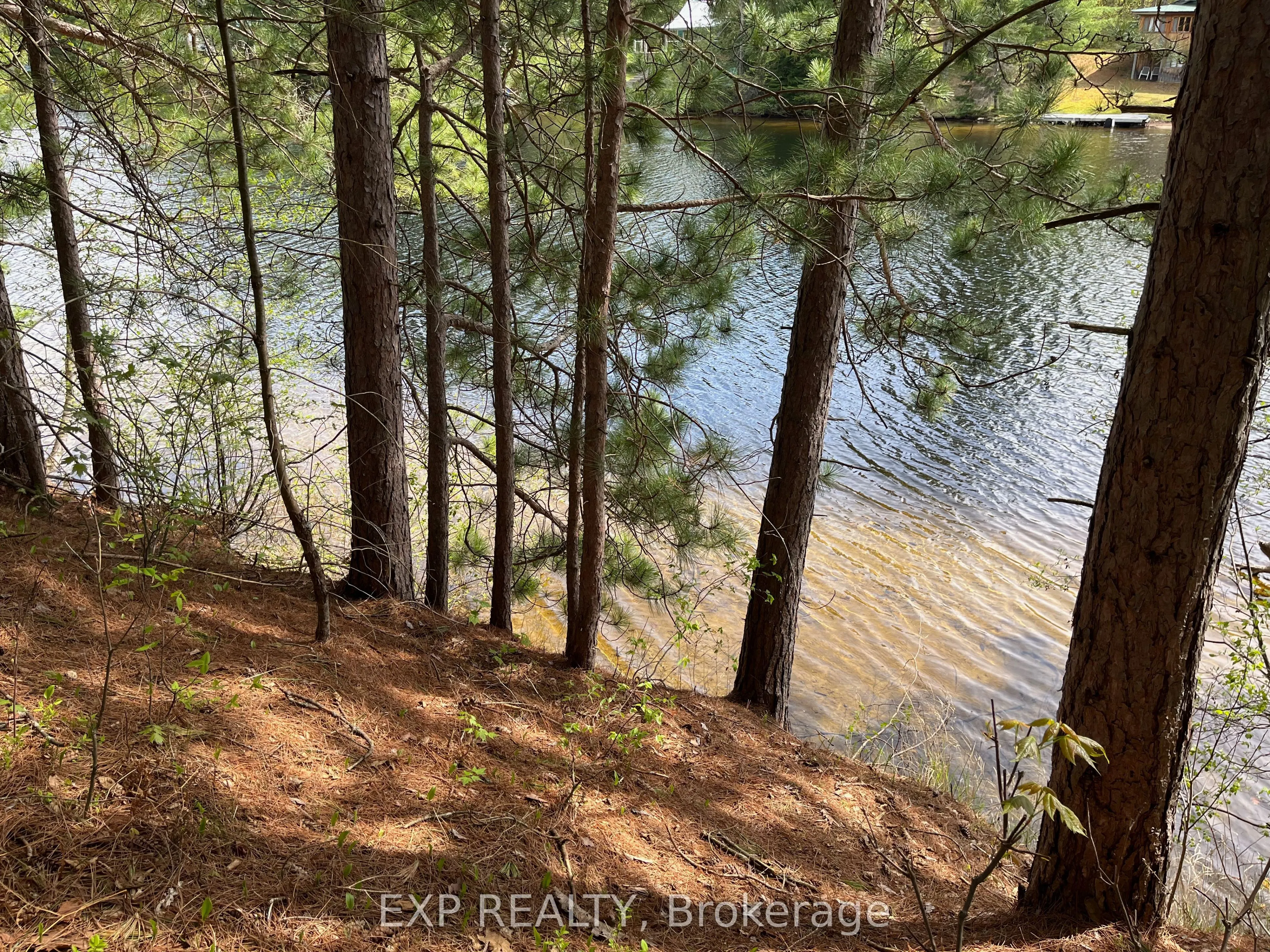 Lot 29 Sandy Shores Trail