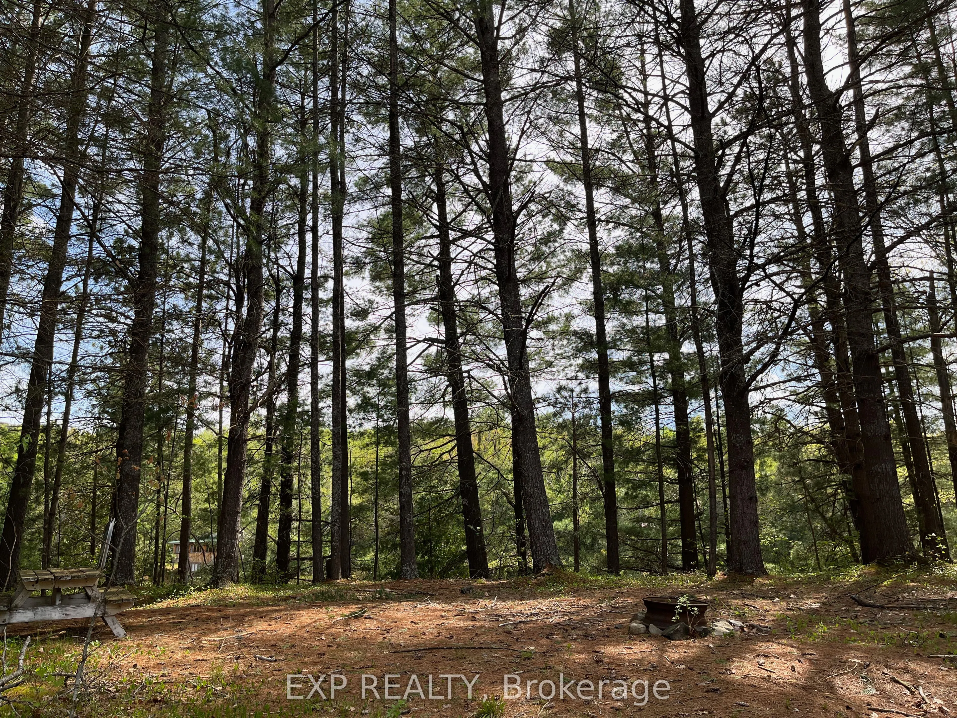 Lot 29 Sandy Shores Trail