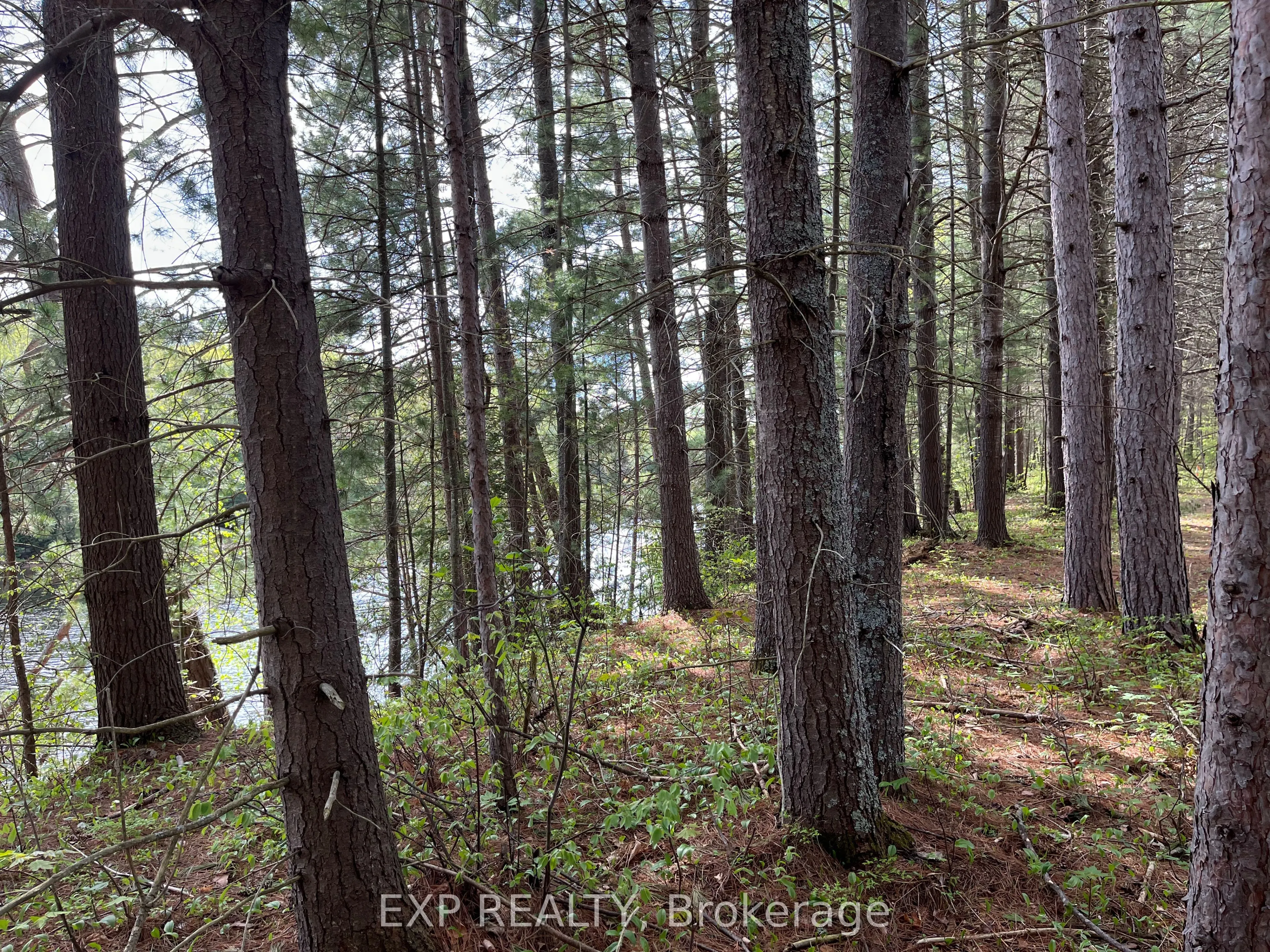 Lot 29 Sandy Shores Trail