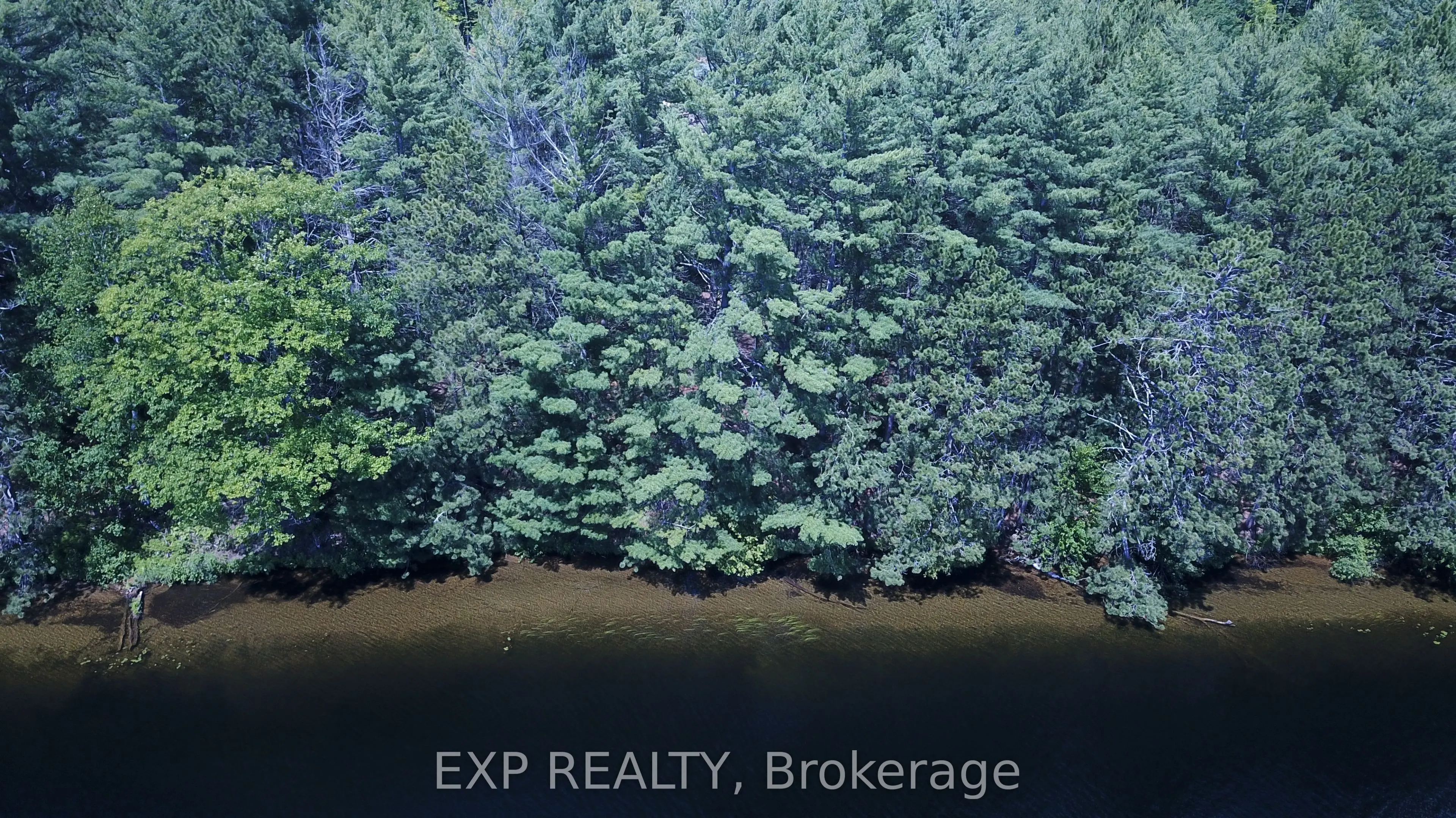 Lot 29 Sandy Shores Trail