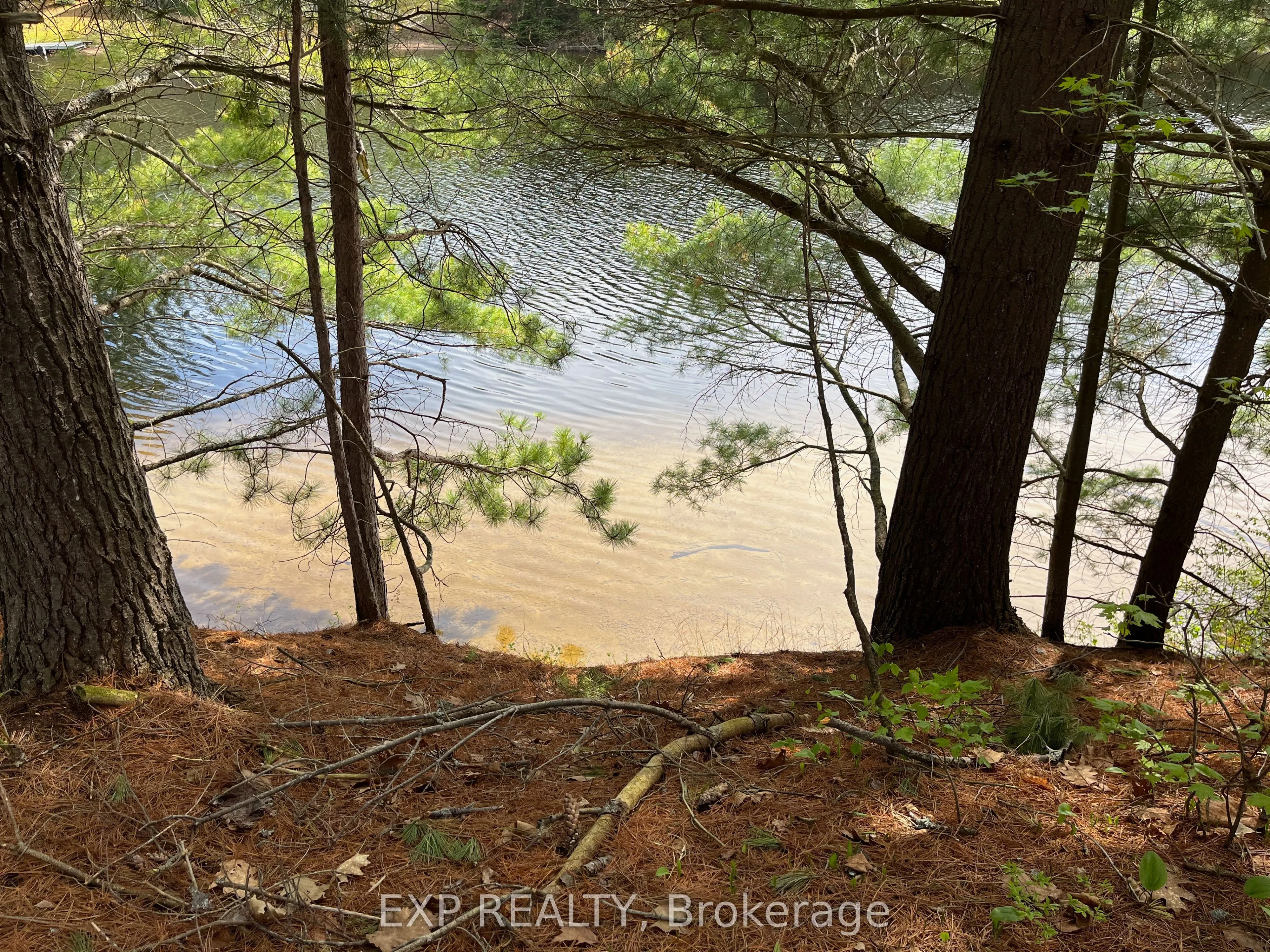 Lot 29 Sandy Shores Trail