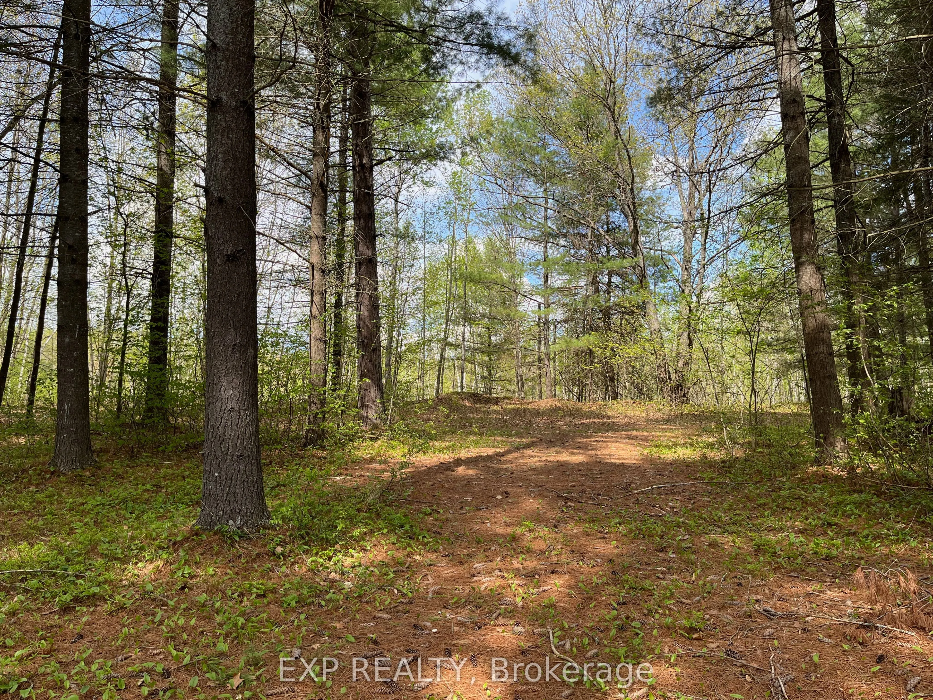 Lot 35 Sandy Shores Trail