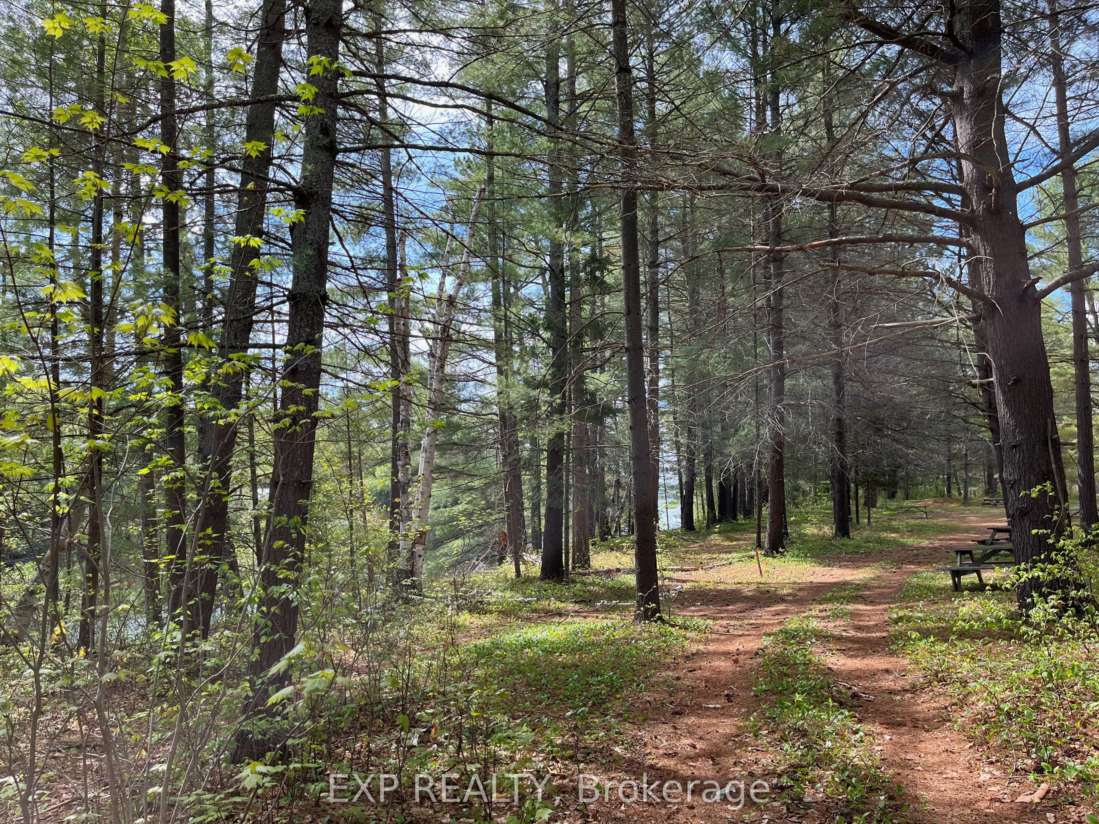 Lot 35 Sandy Shores Trail