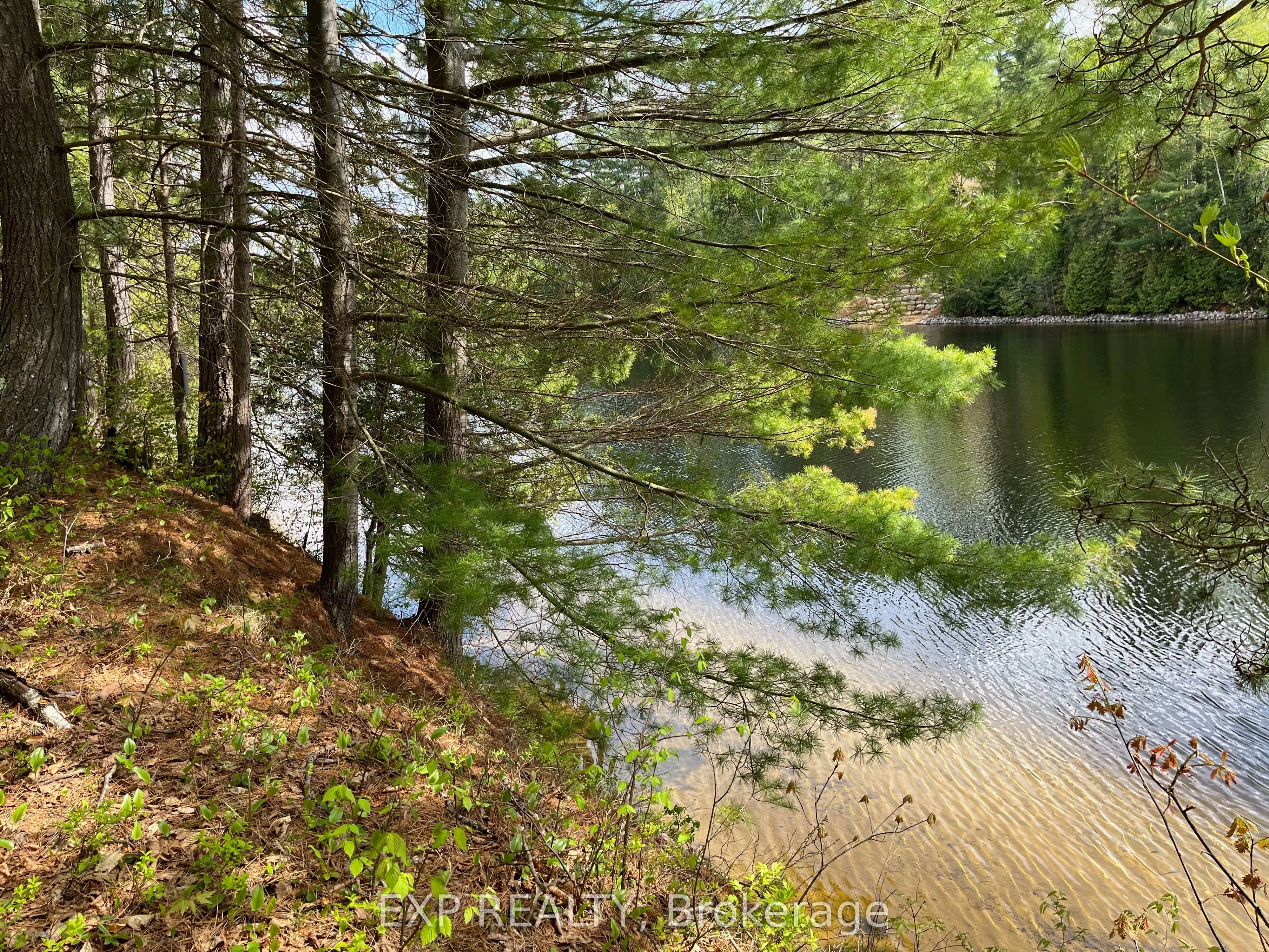 Lot 35 Sandy Shores Trail