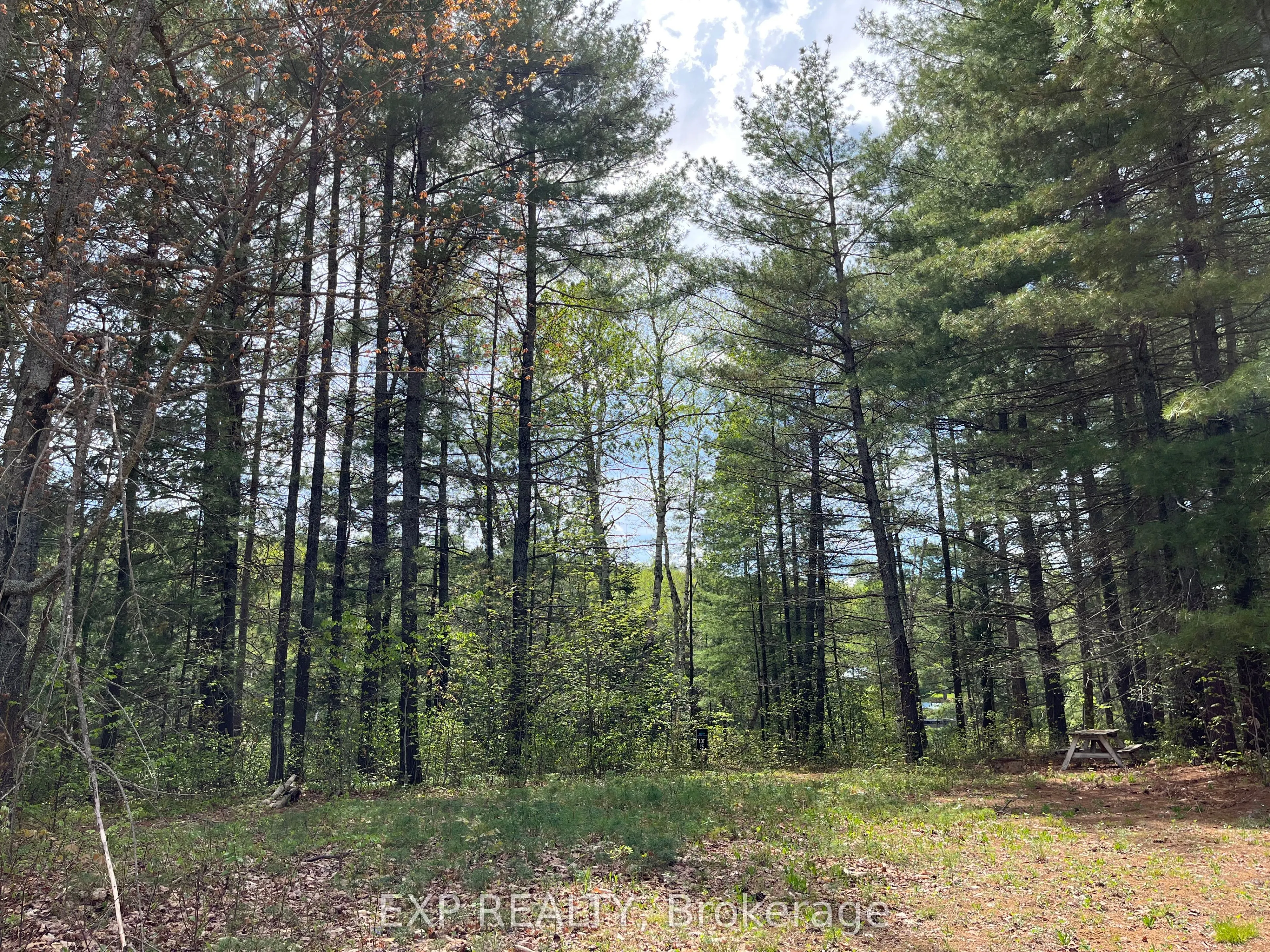 Lot 35 Sandy Shores Trail