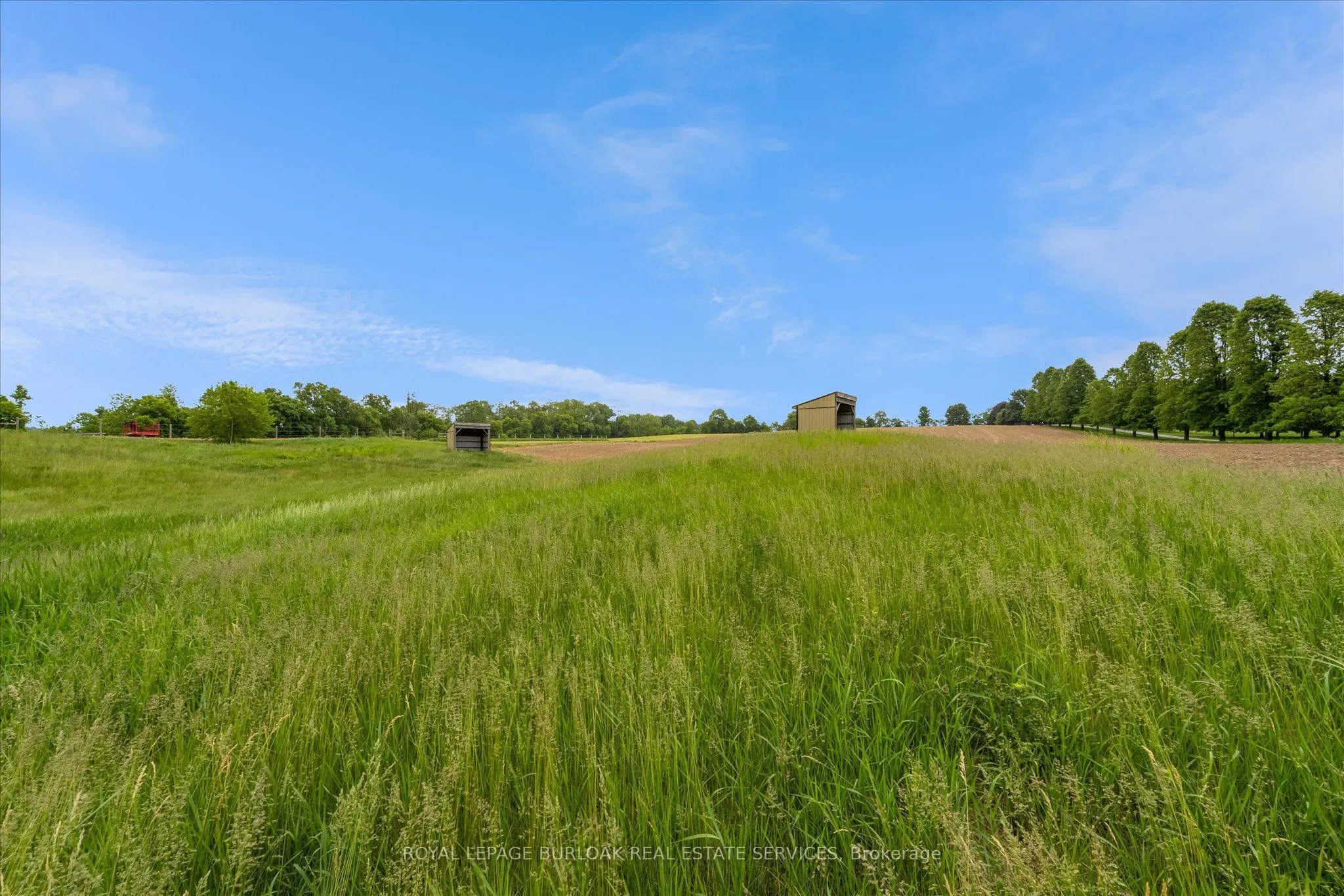 337 Highway 52 N