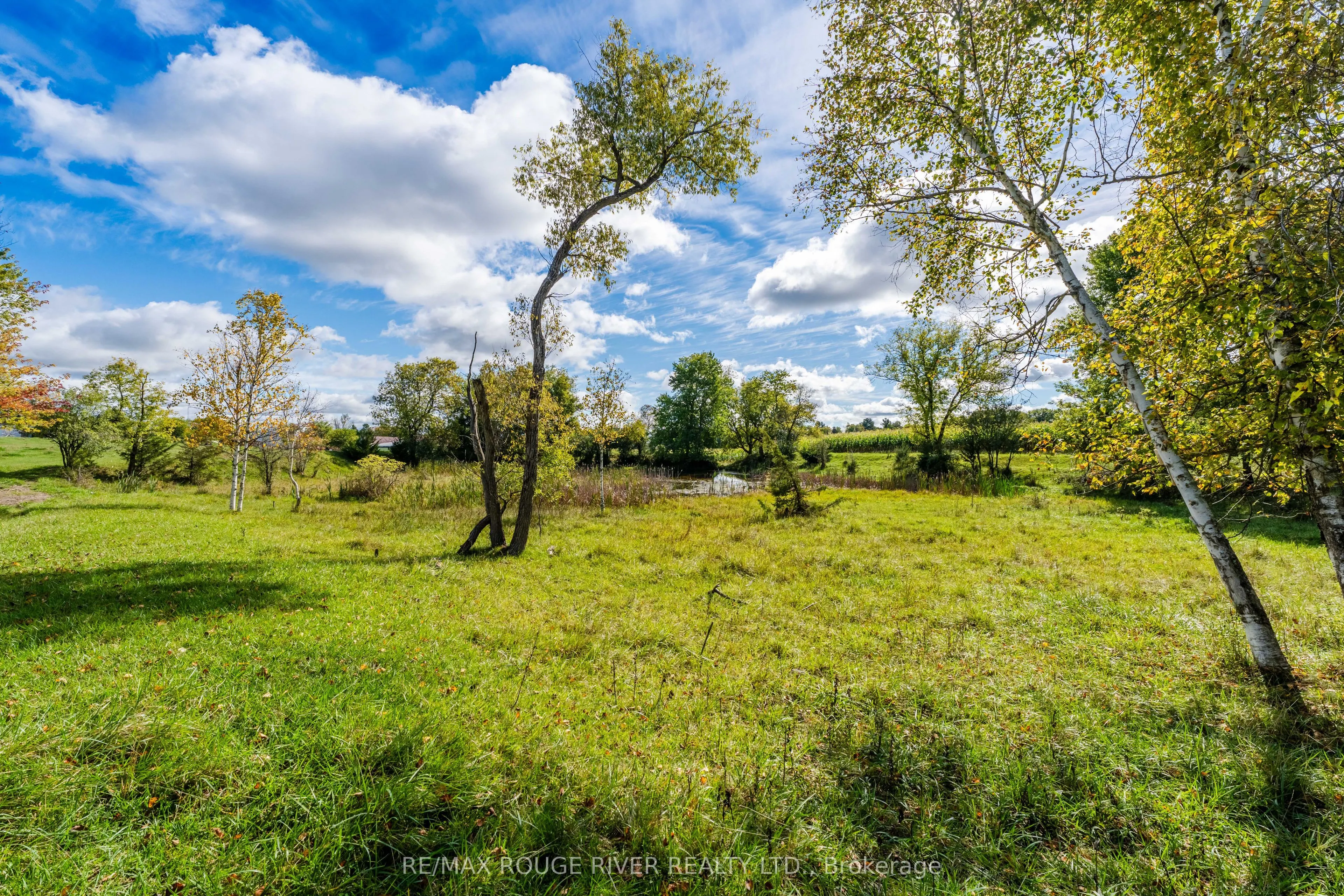 390 Jakobi Road