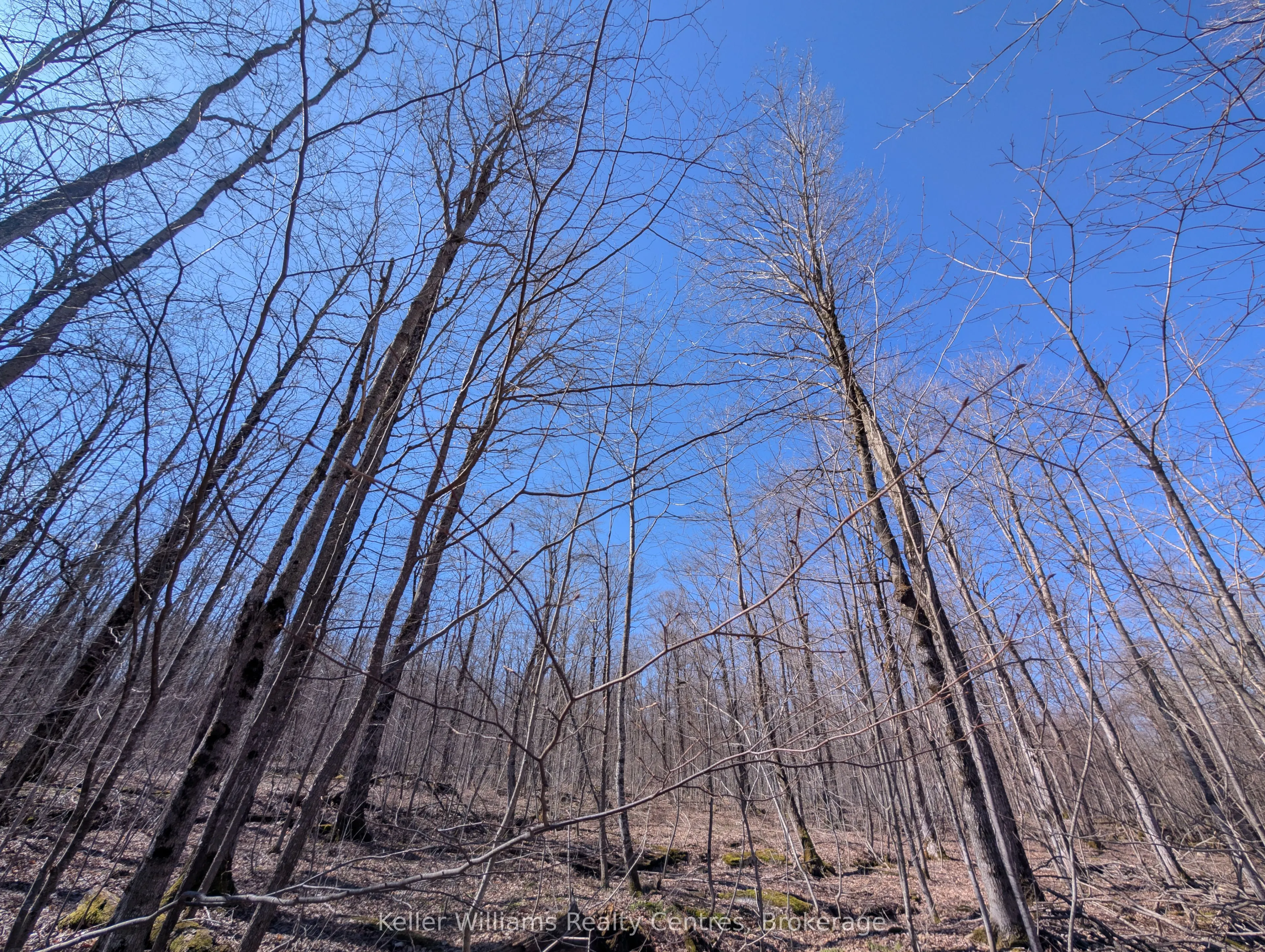 463176 Concession 24 Acres S