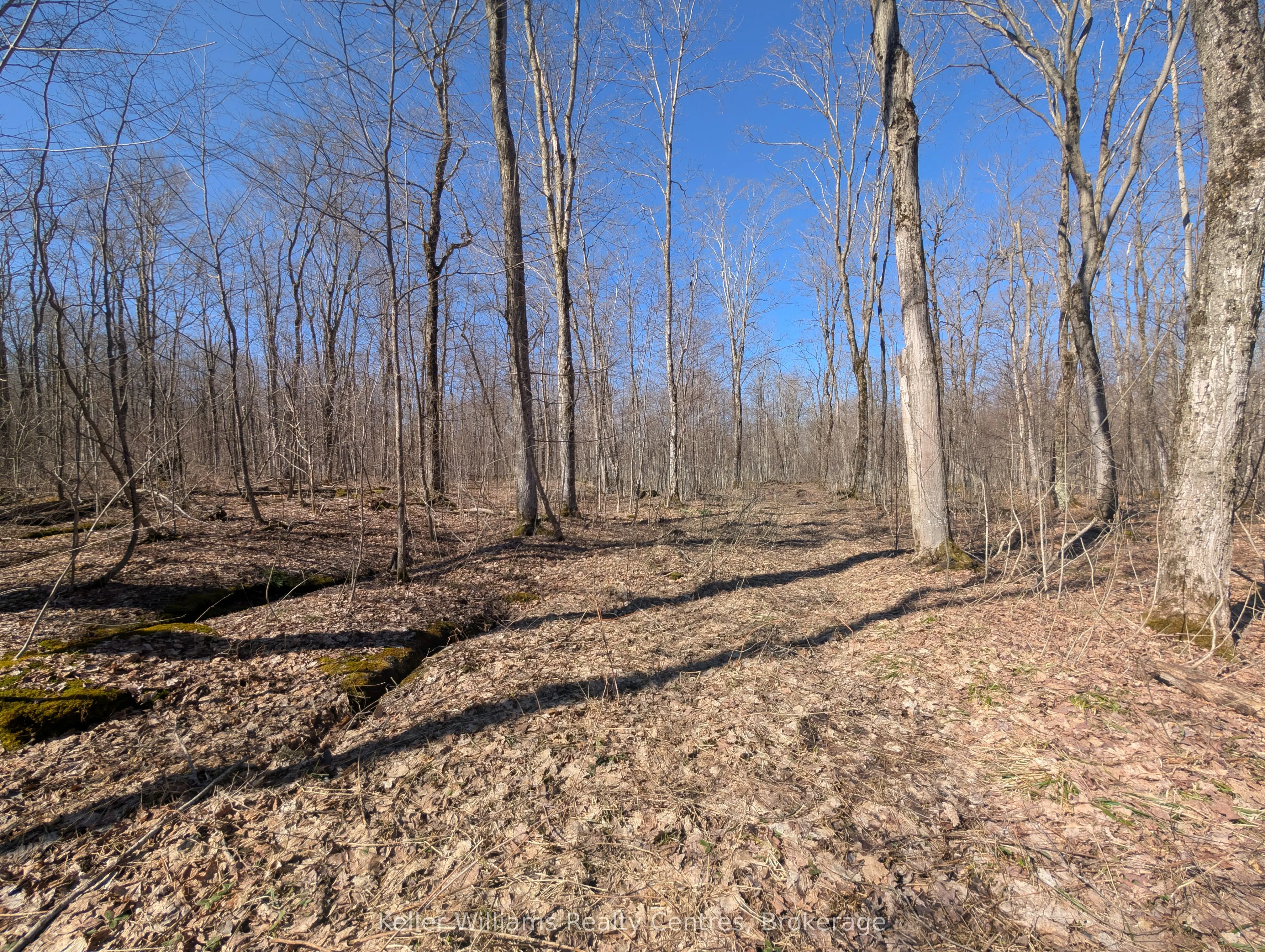 463176 Concession 24 Acres S