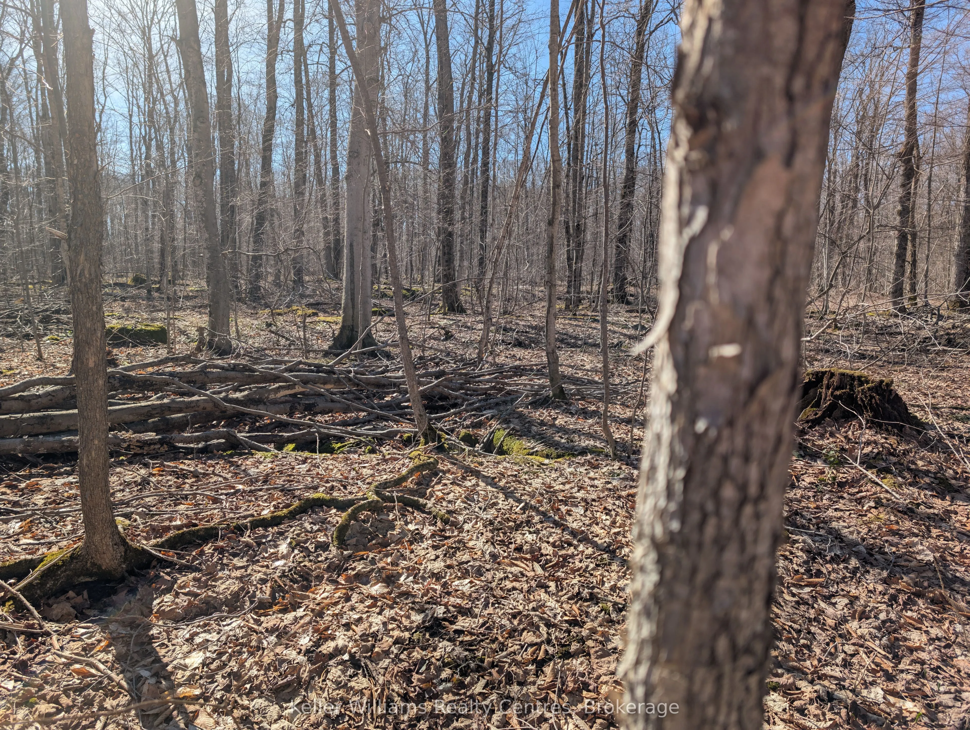 463176 Concession 24 Acres S