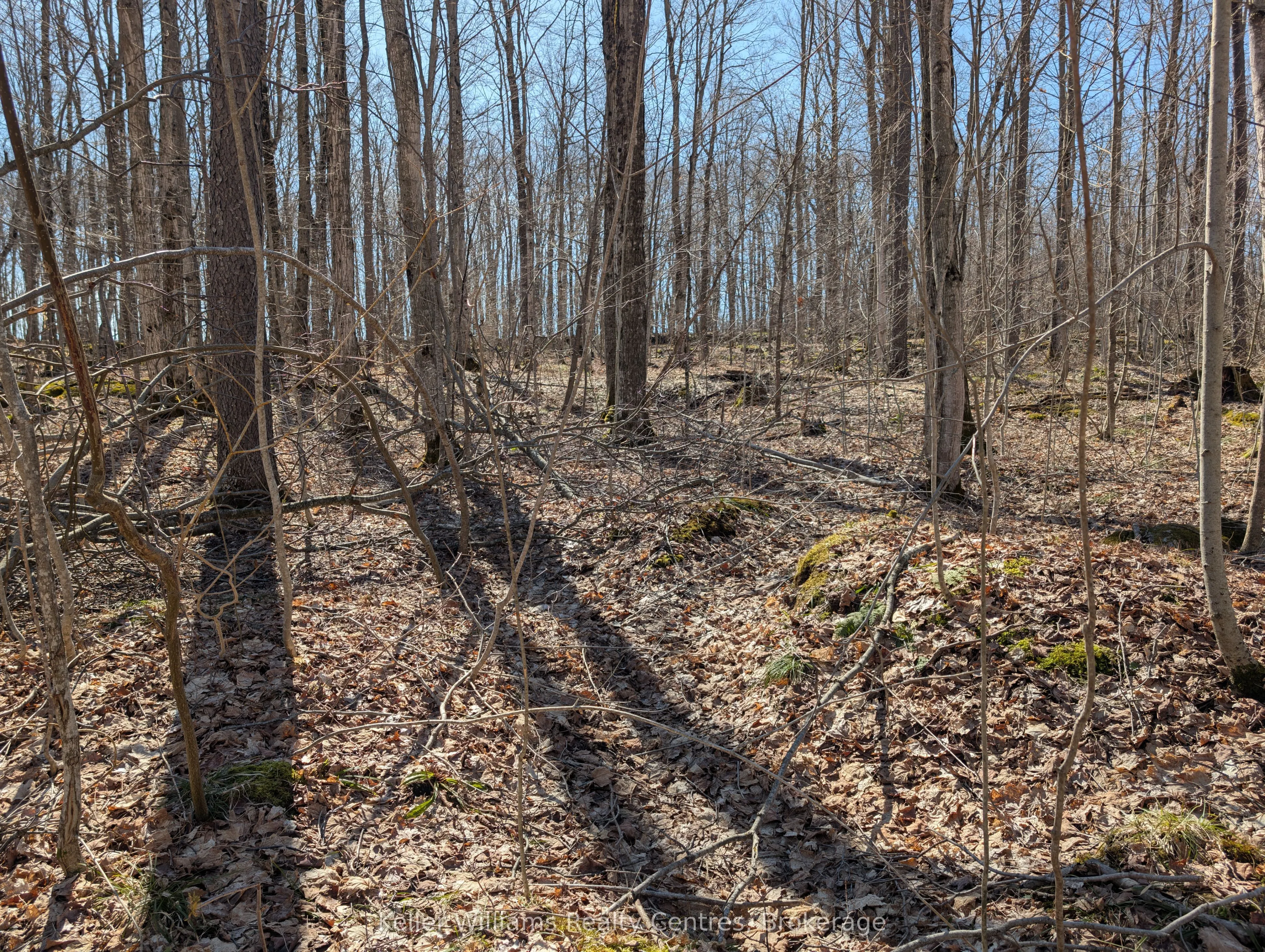 463176 Concession 24 Acres S