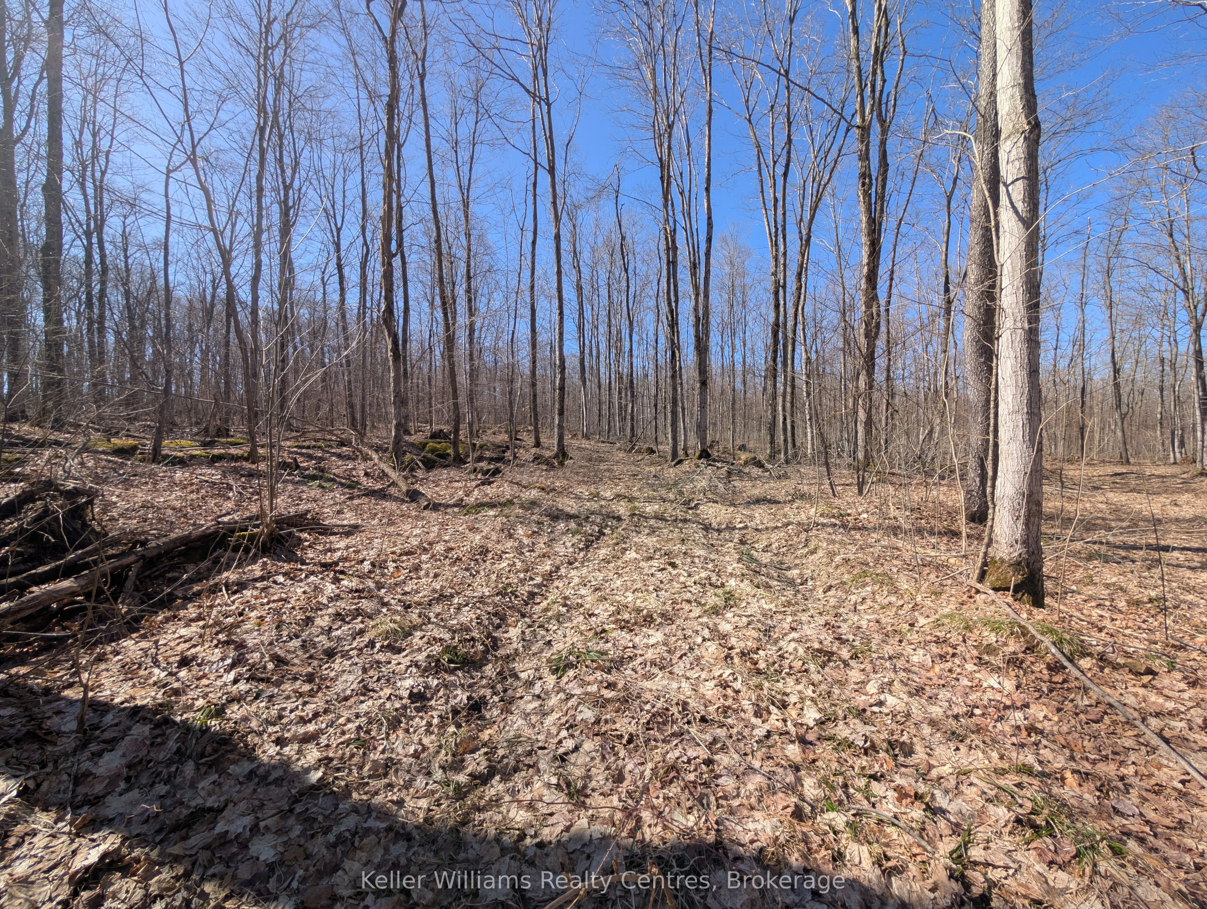 463176 Concession 24 Acres S
