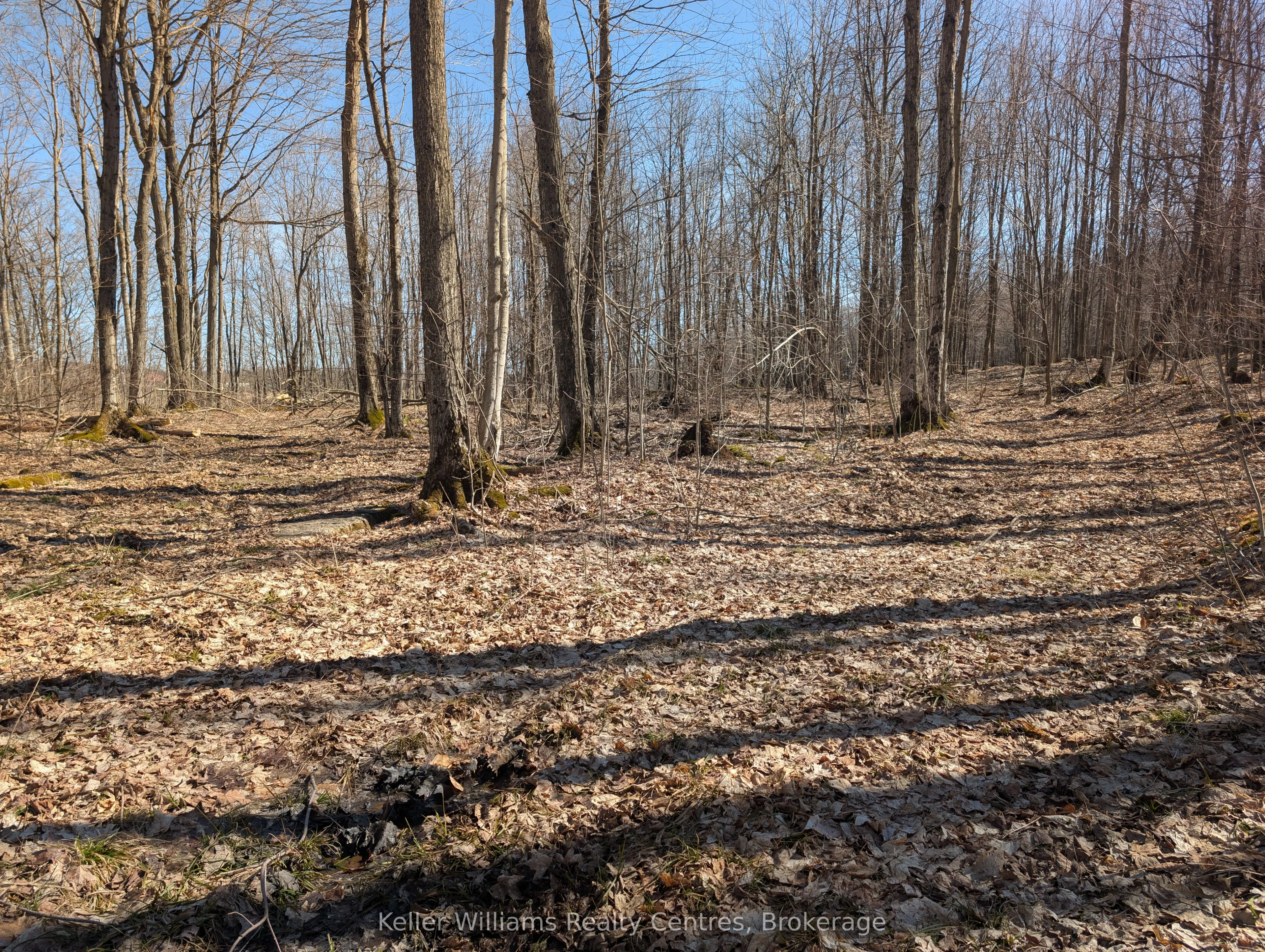 463176 Concession 24 Acres S