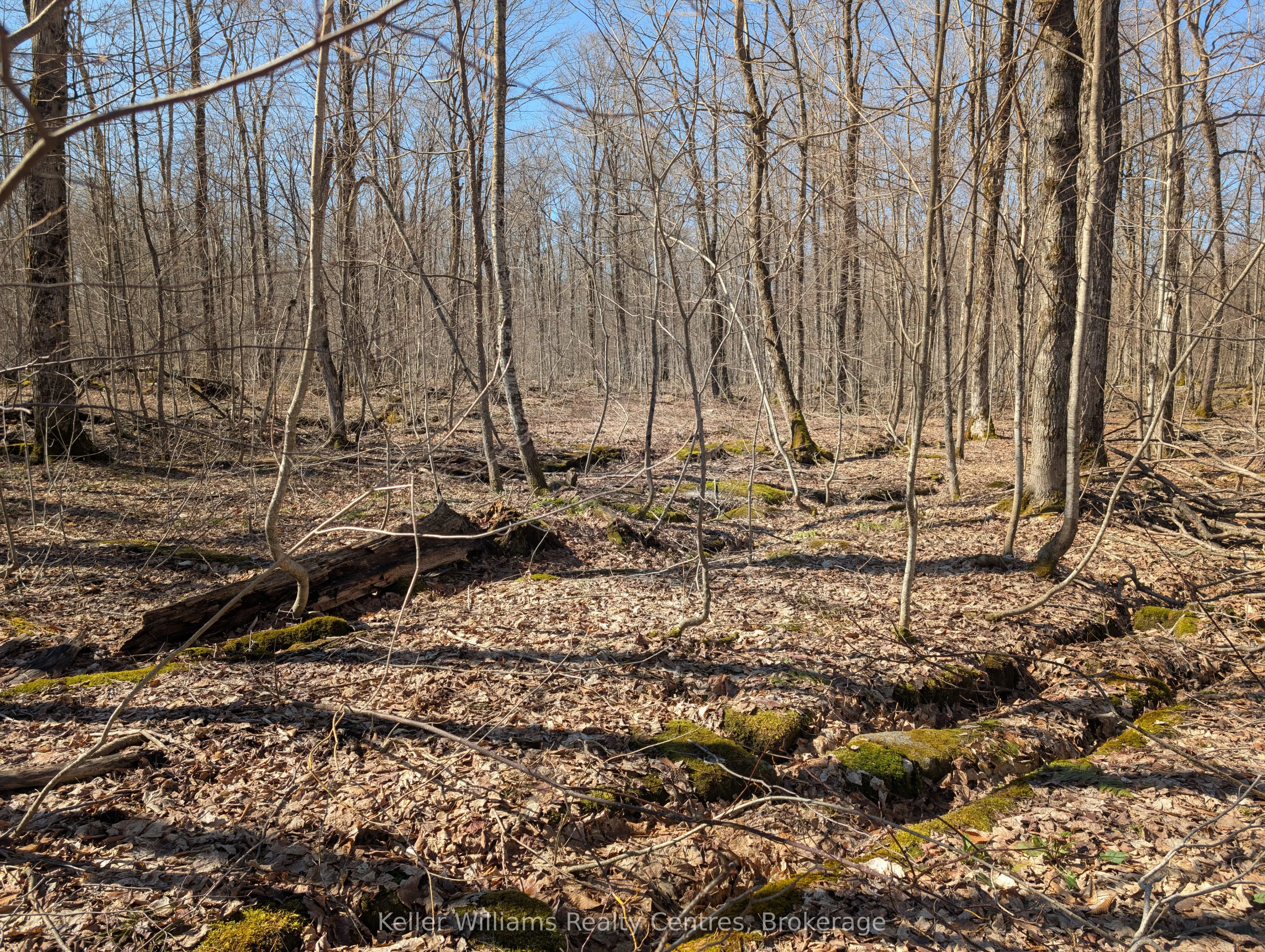 463176 Concession 24 Acres S