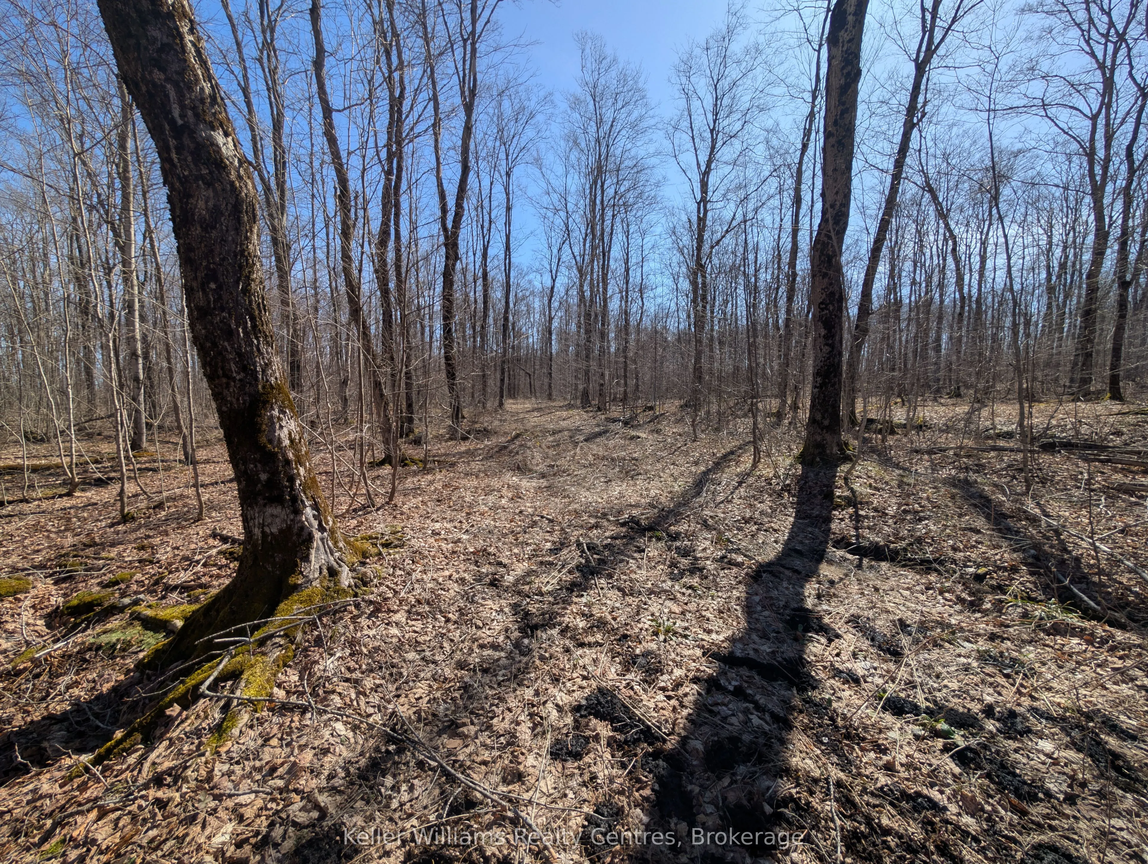 463176 Concession 24 Acres S