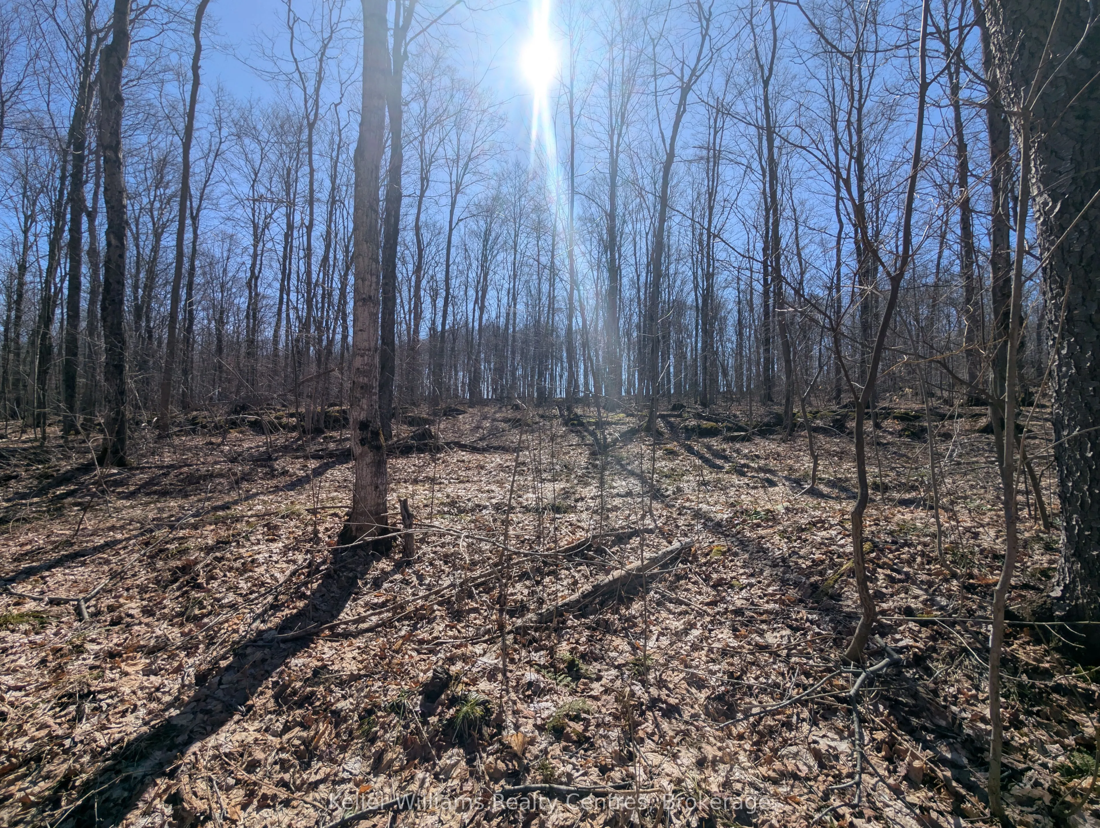 463176 Concession 24 Acres S