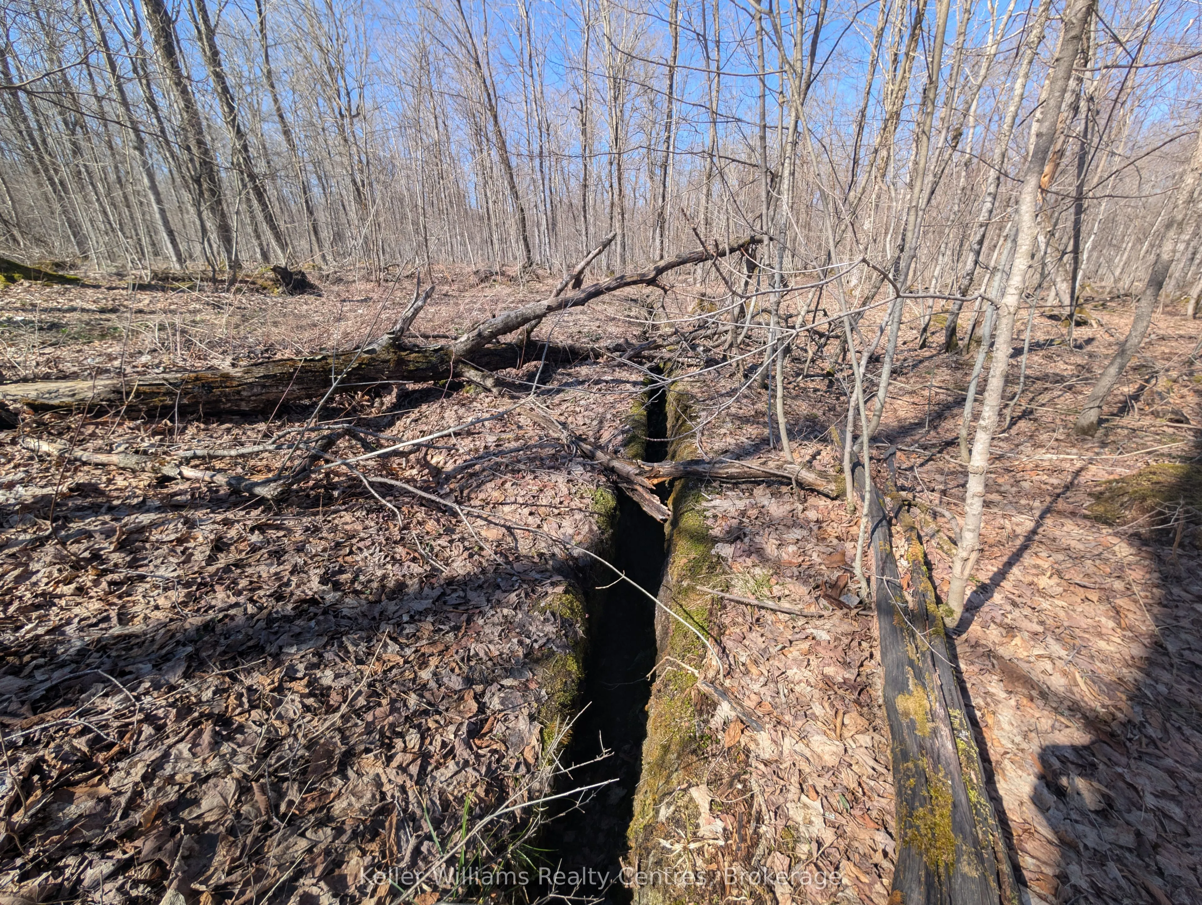 463176 Concession 24 Acres S