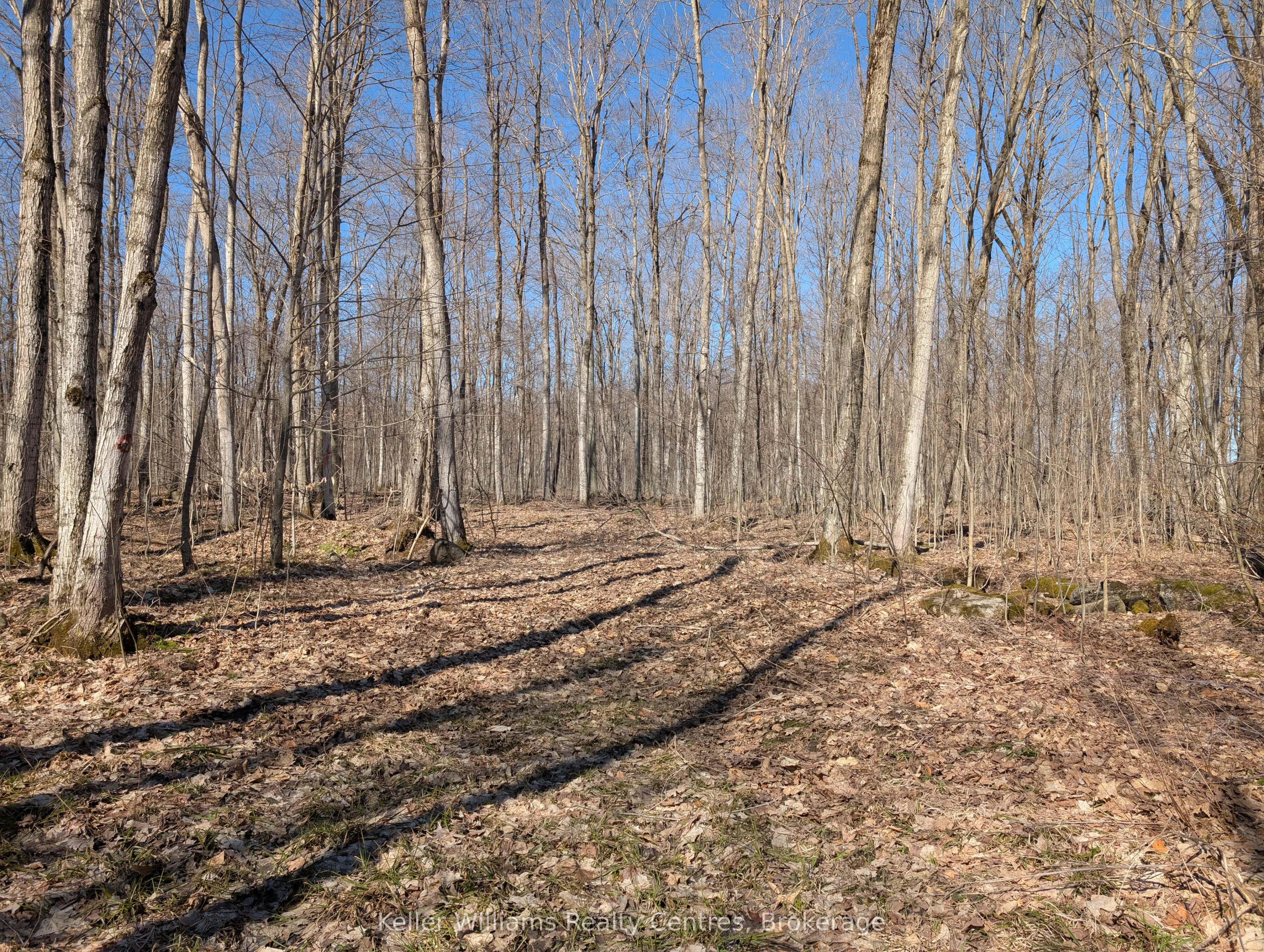 463176 Concession 24 Acres S