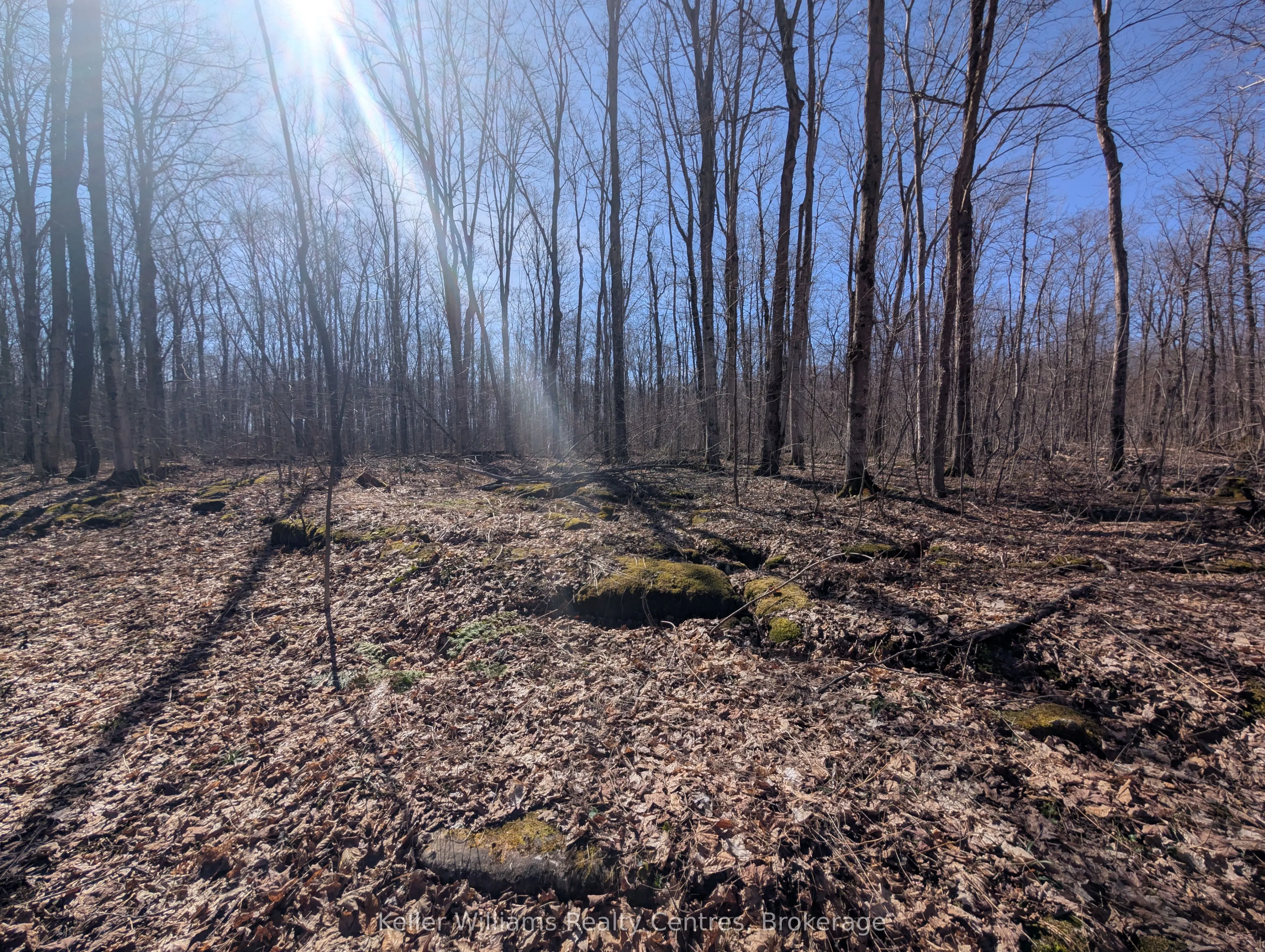463176 Concession 24 Acres S