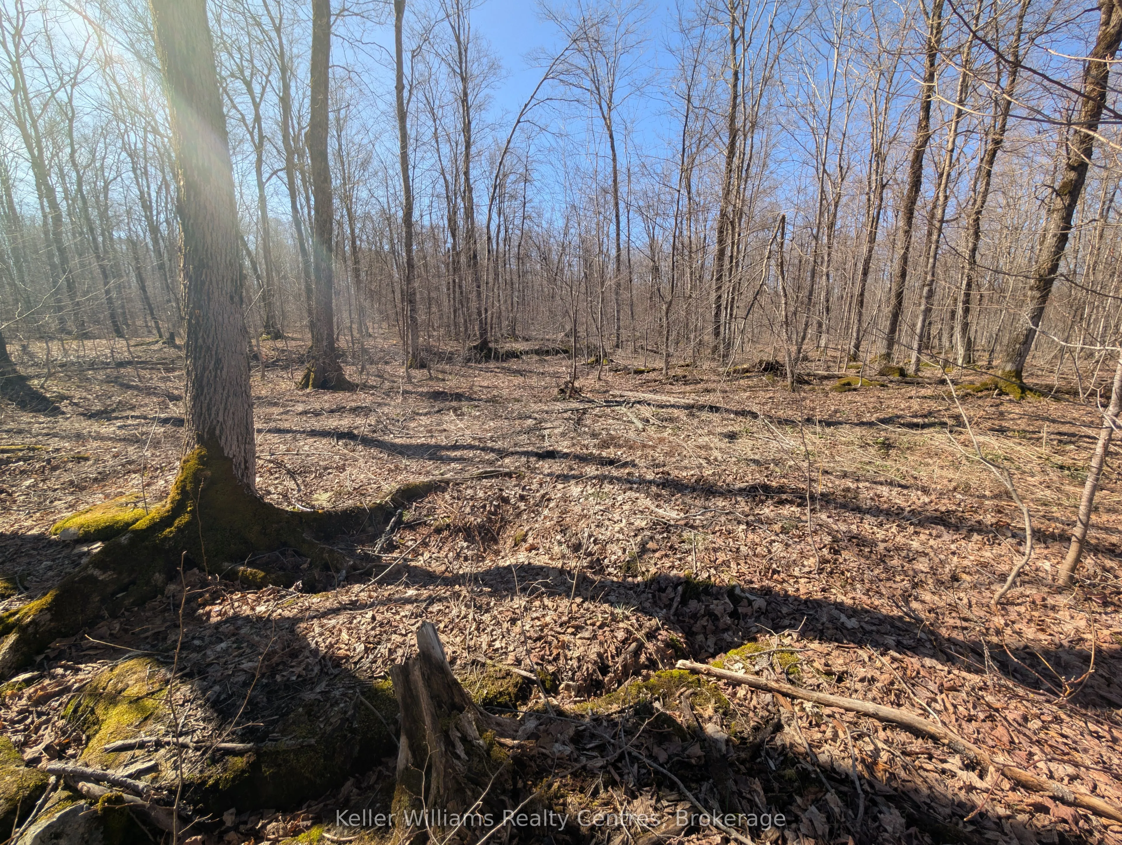 463176 Concession 24 Acres S