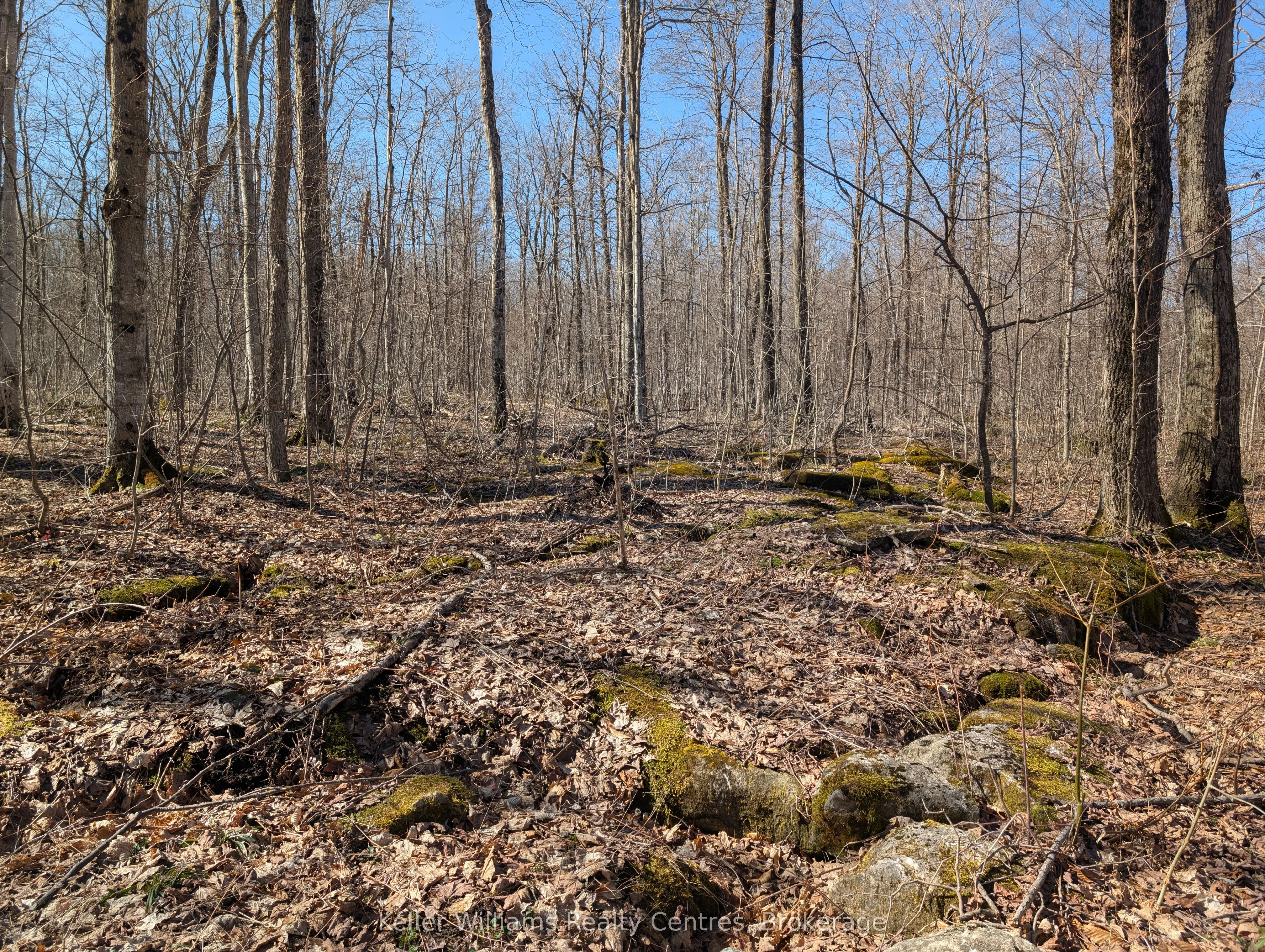 463176 Concession 24 Acres S