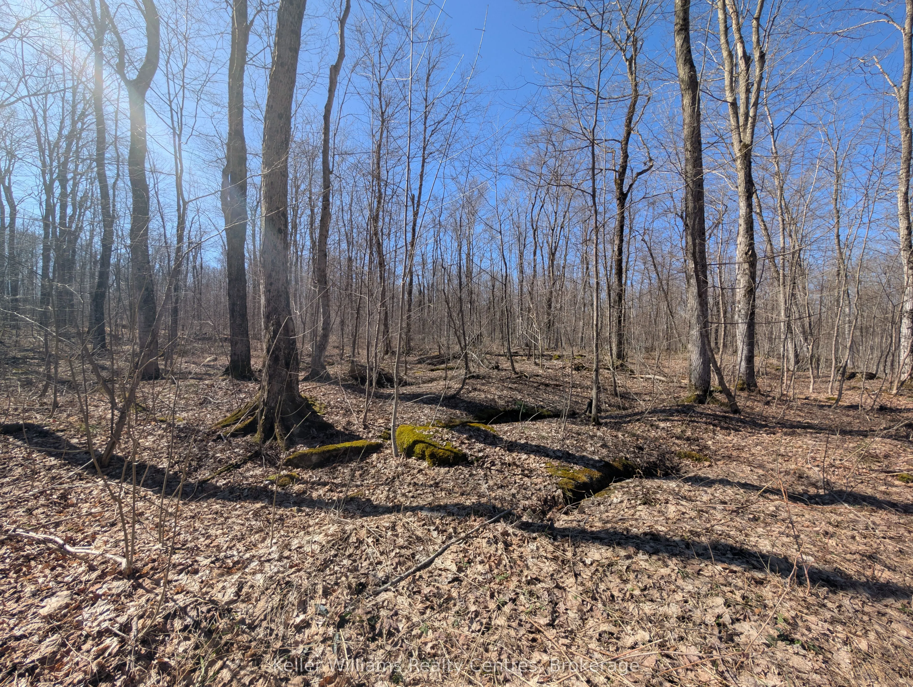463176 Concession 24 Acres S