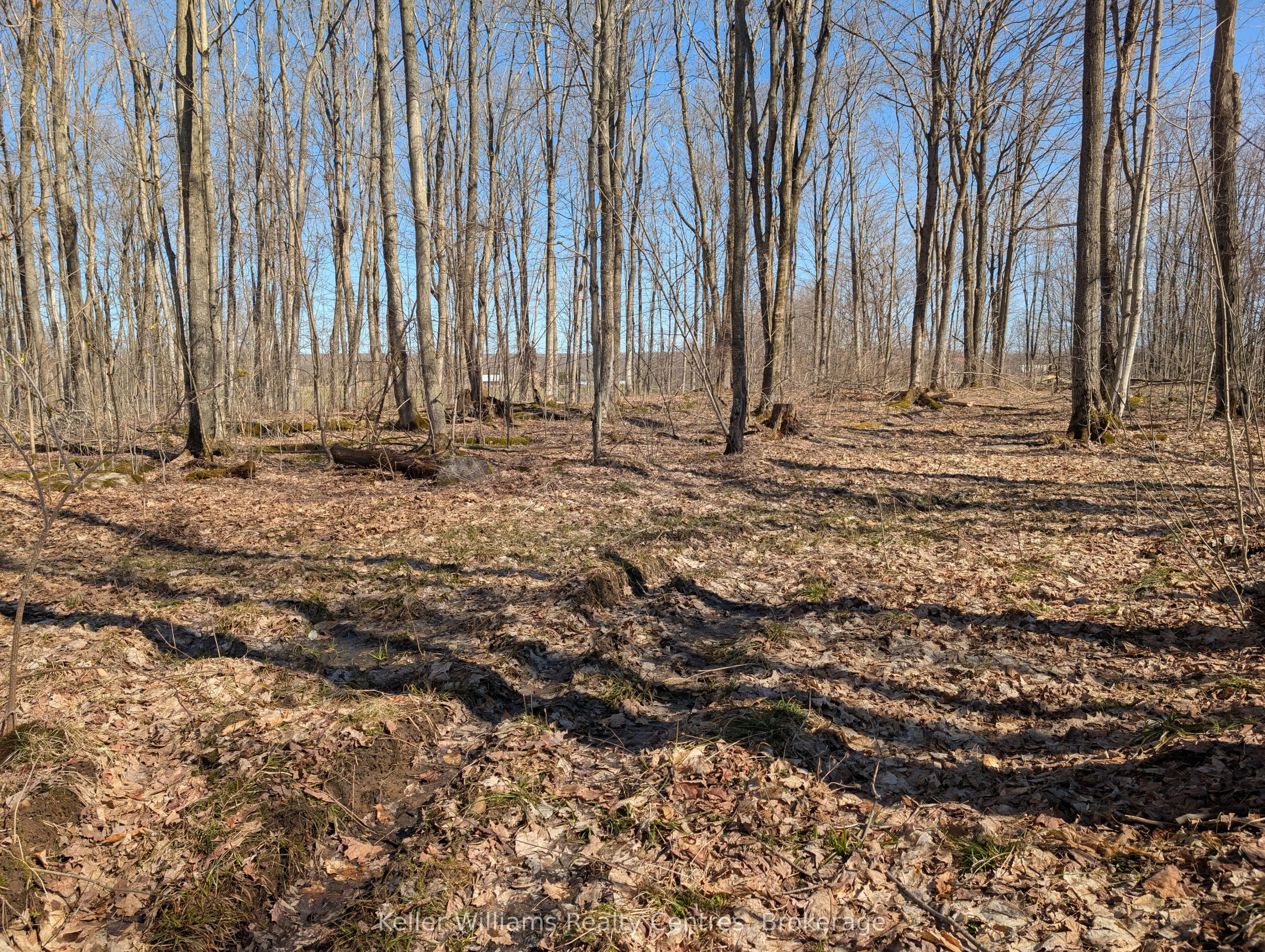 463176 Concession 24 Acres S