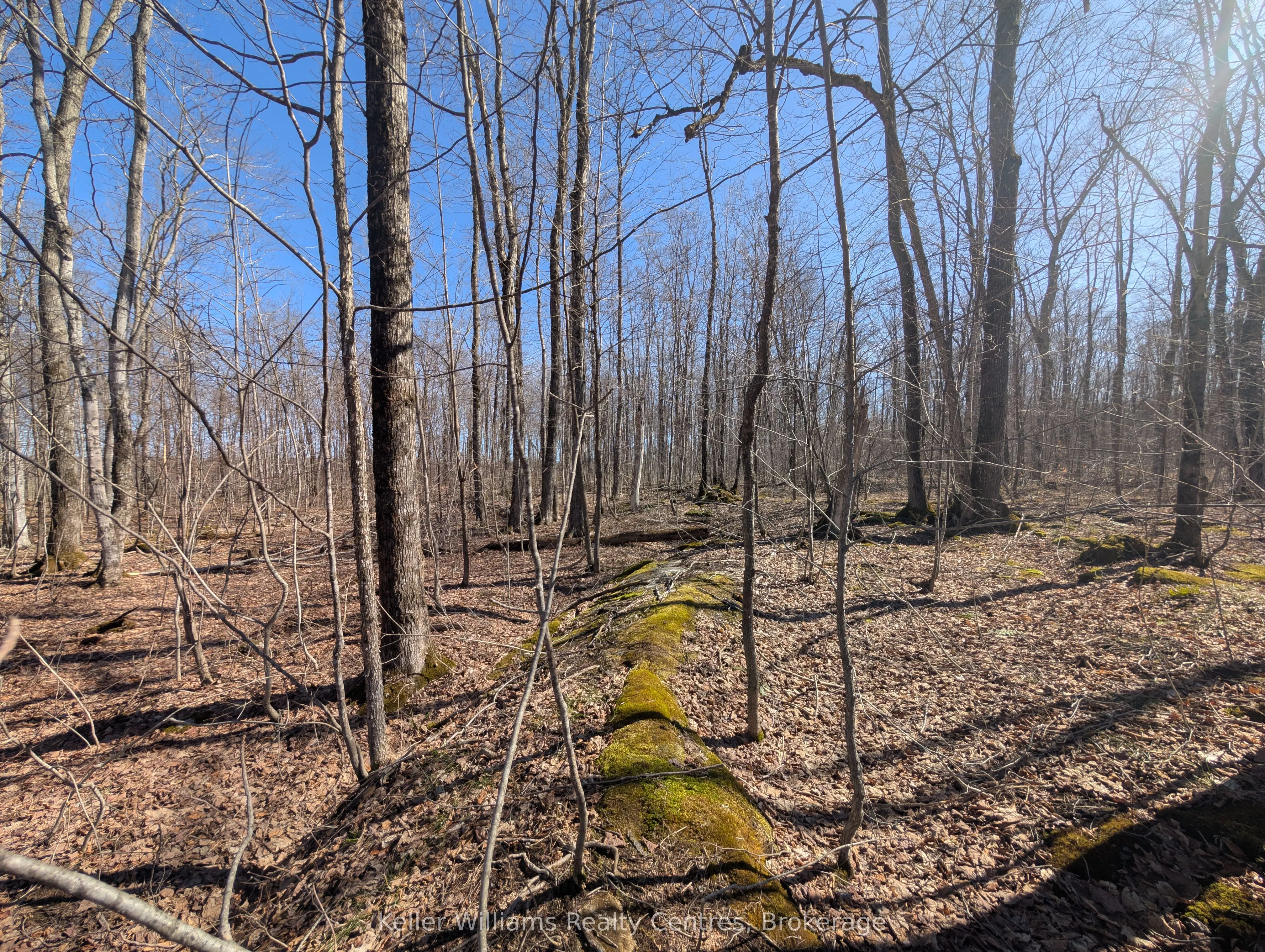 463176 Concession 24 Acres S