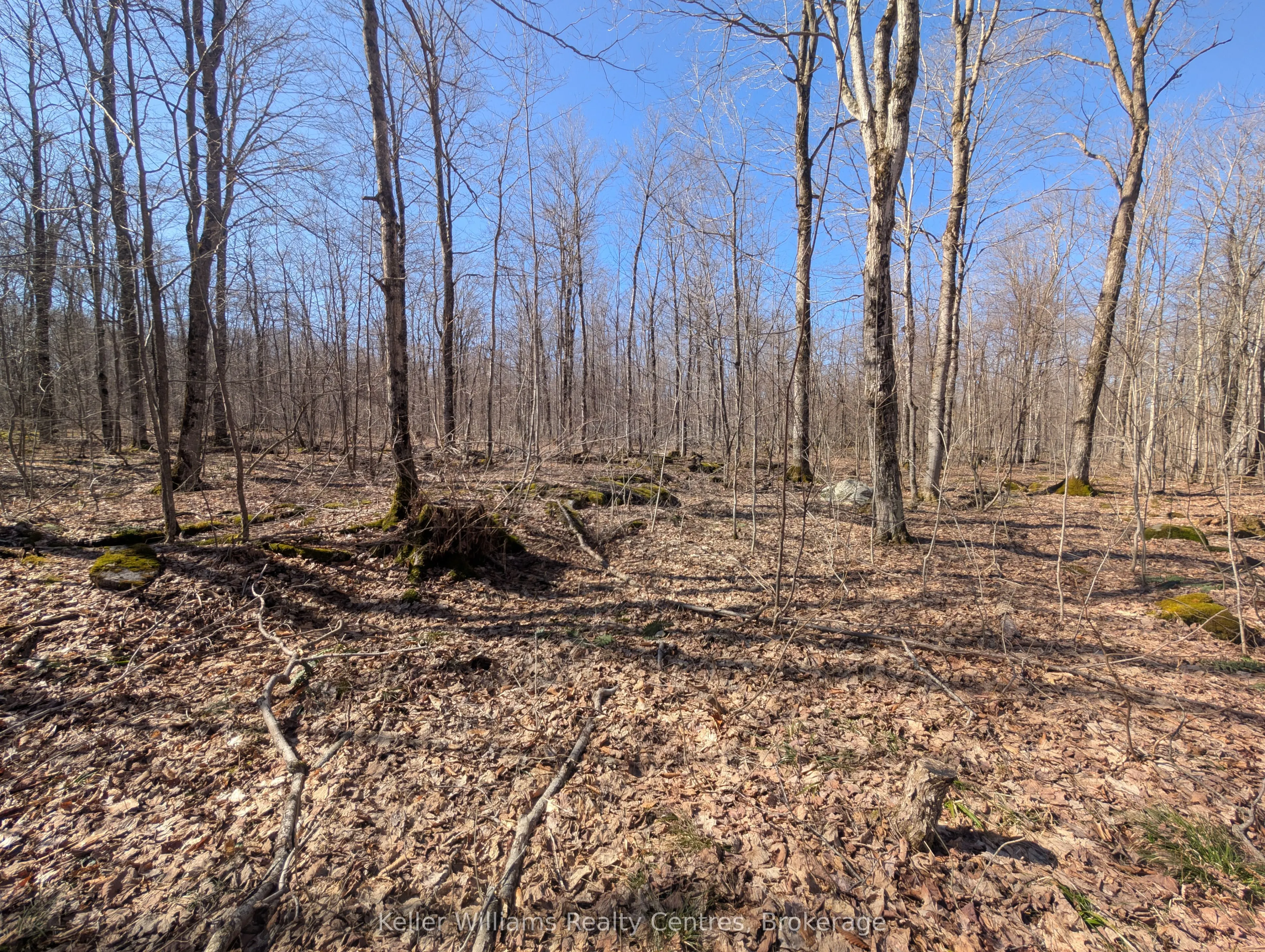 463176 Concession 24 Acres S
