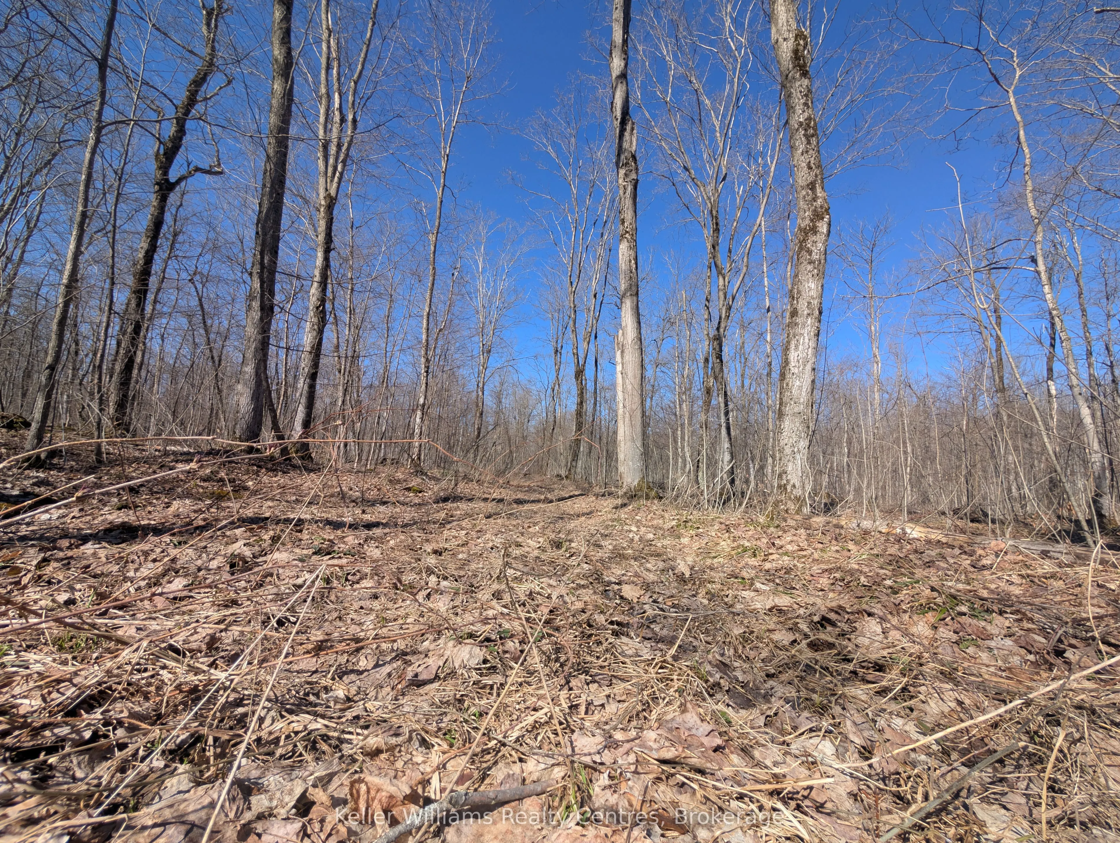 463176 Concession 24 Acres S