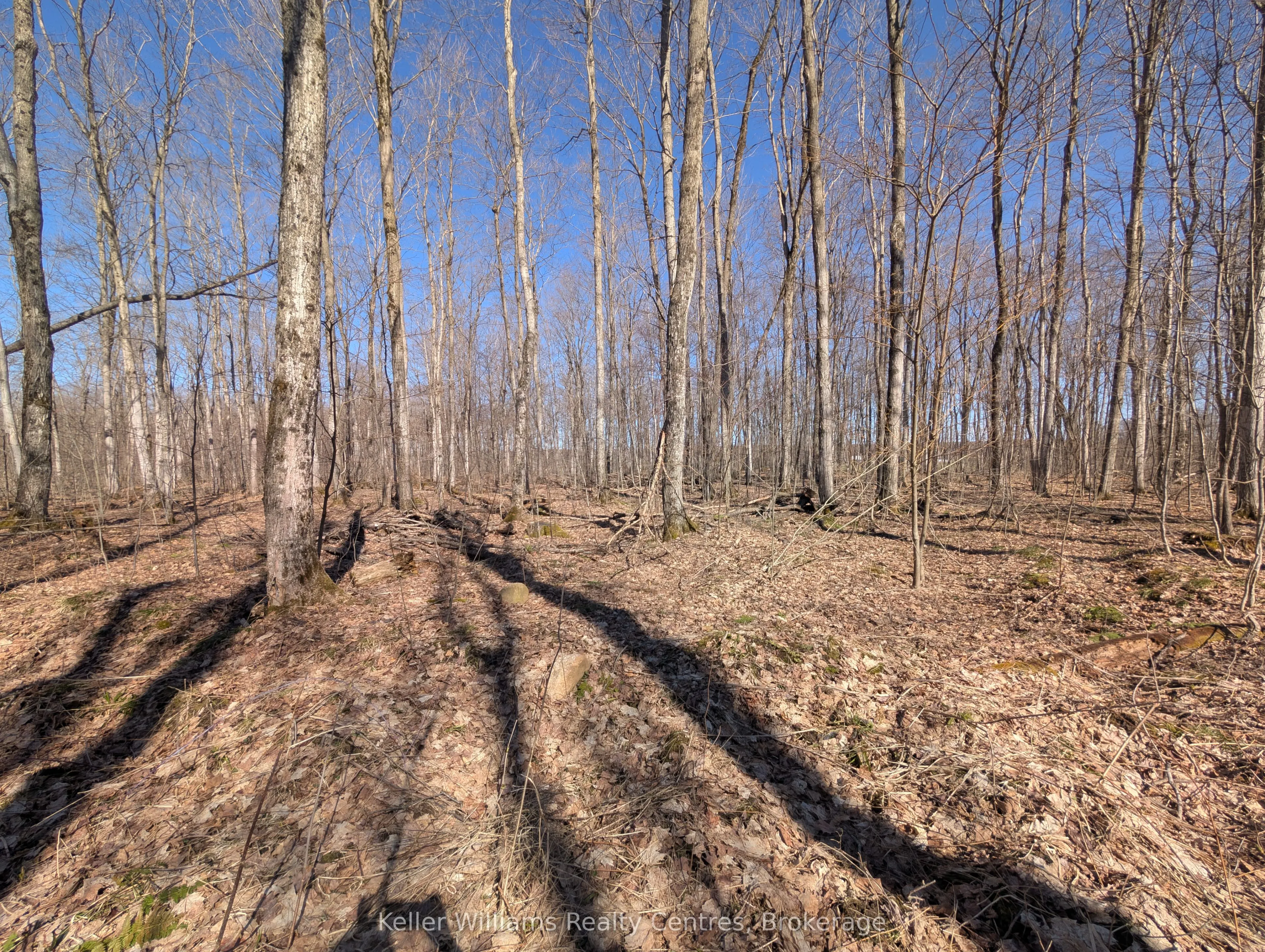463176 Concession 24 Acres S