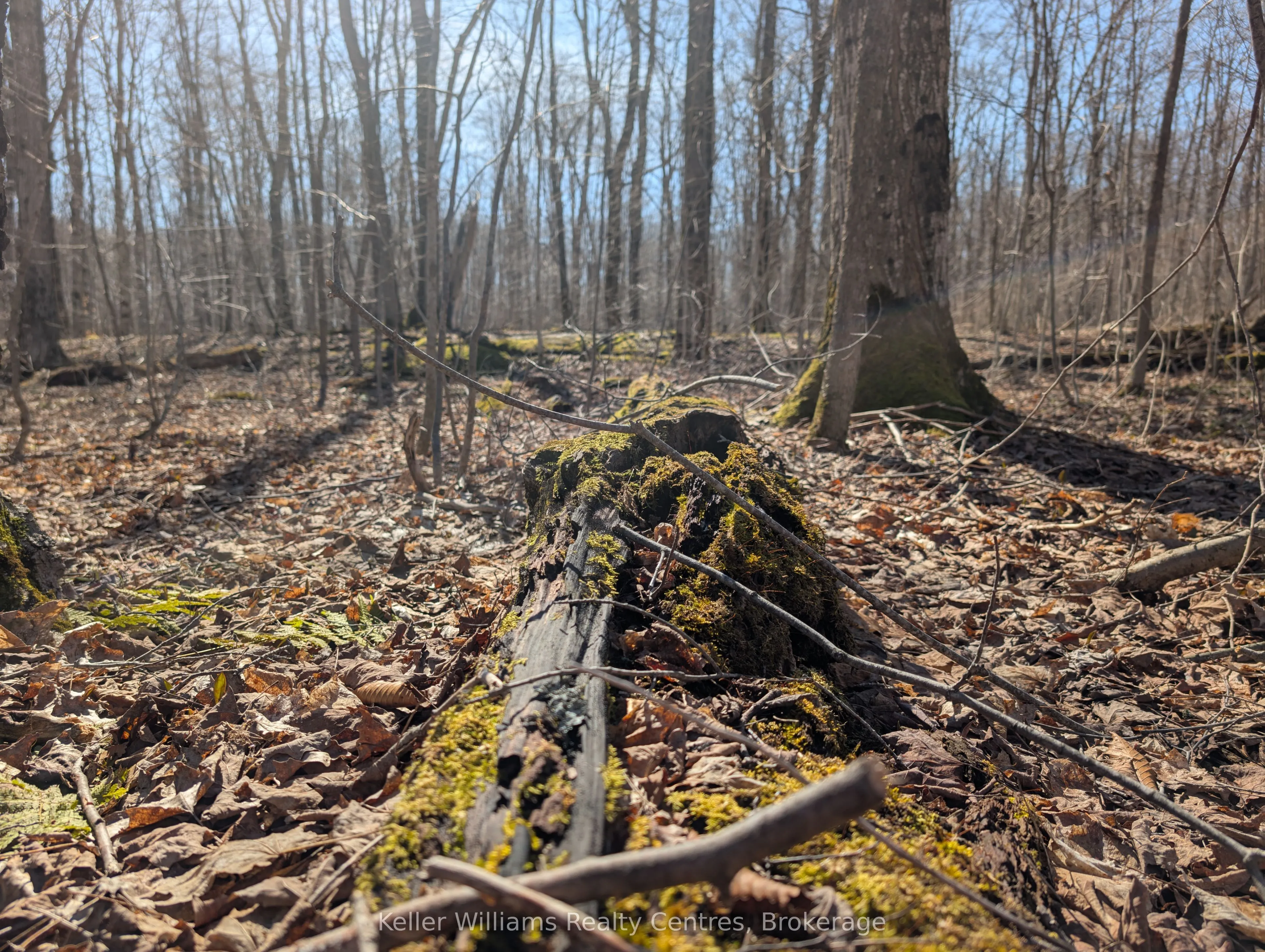 463176 Concession 24 Acres S