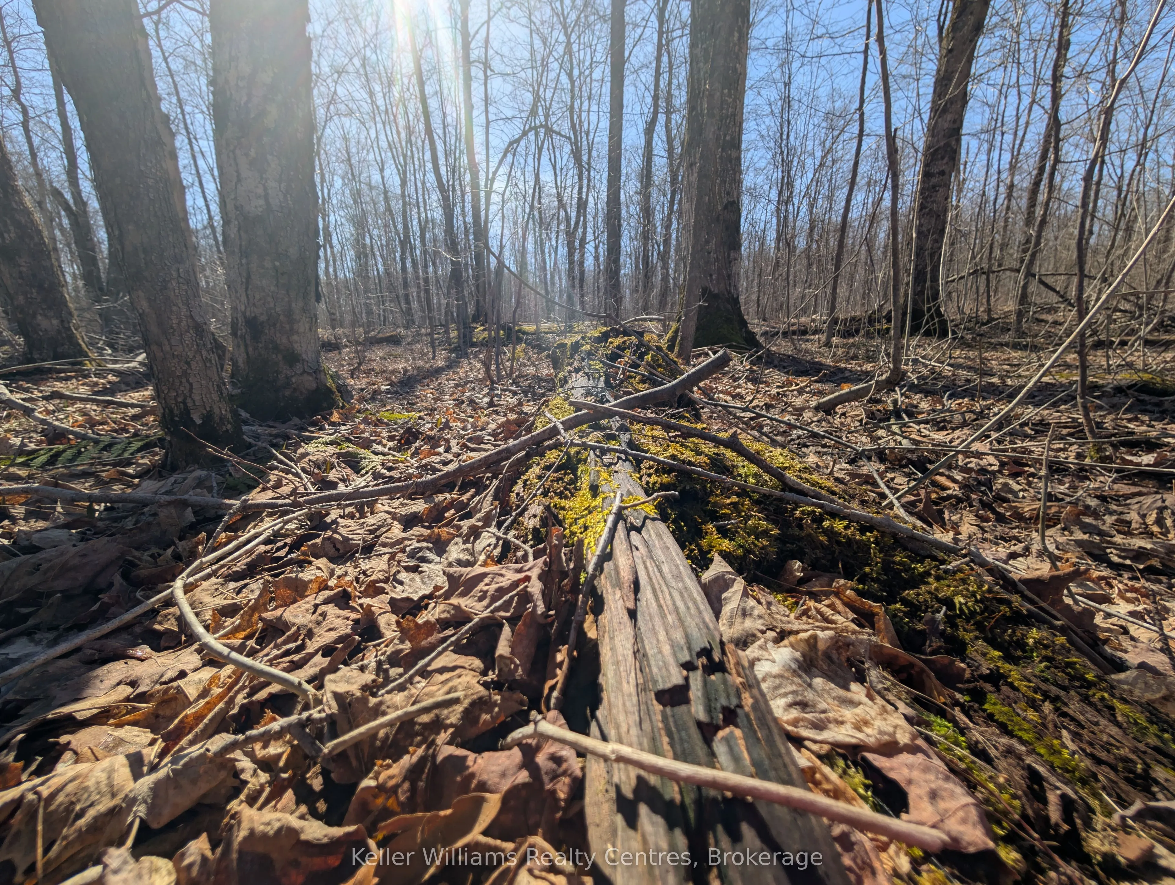 463176 Concession 24 Acres S