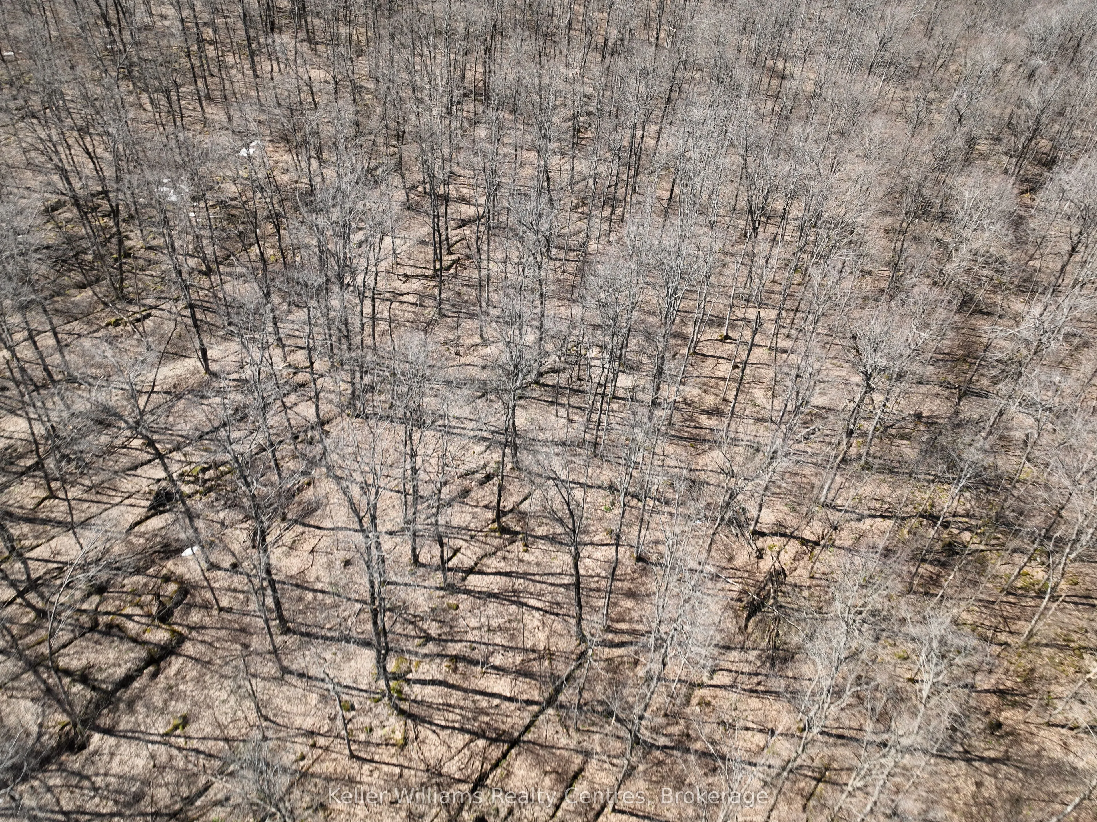 463176 Concession 24 Acres S