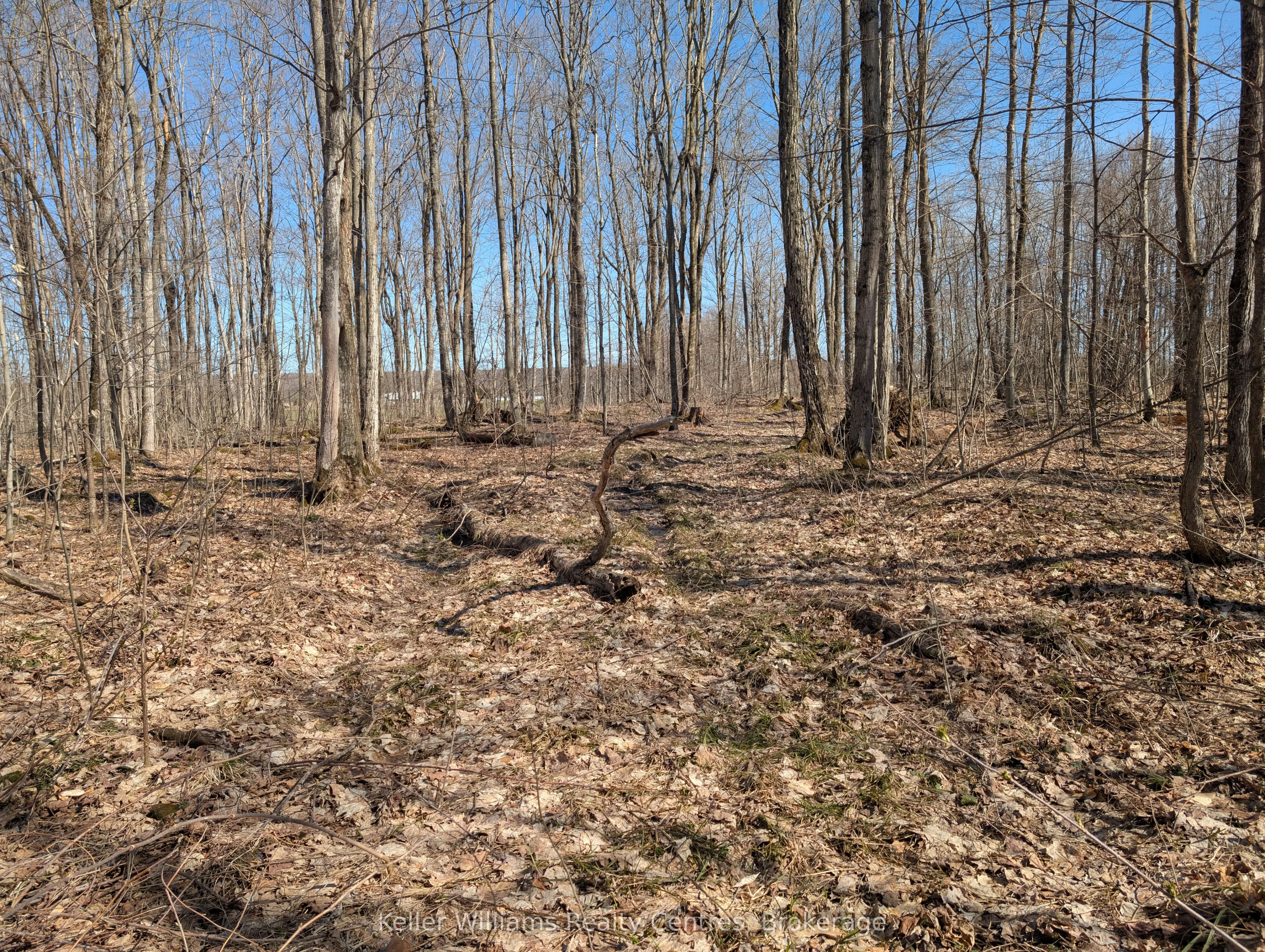 463176 Concession 24 Acres S